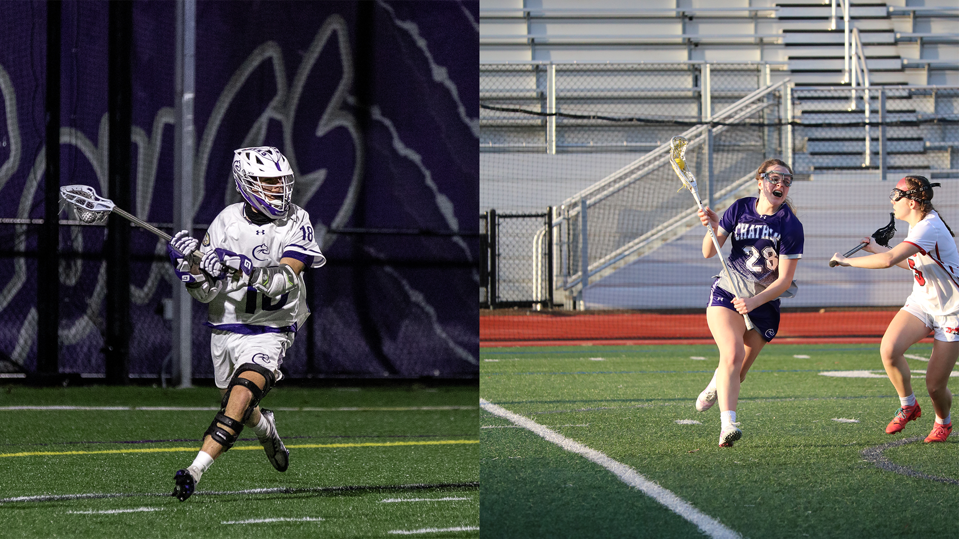 whitaker kaesshaefer