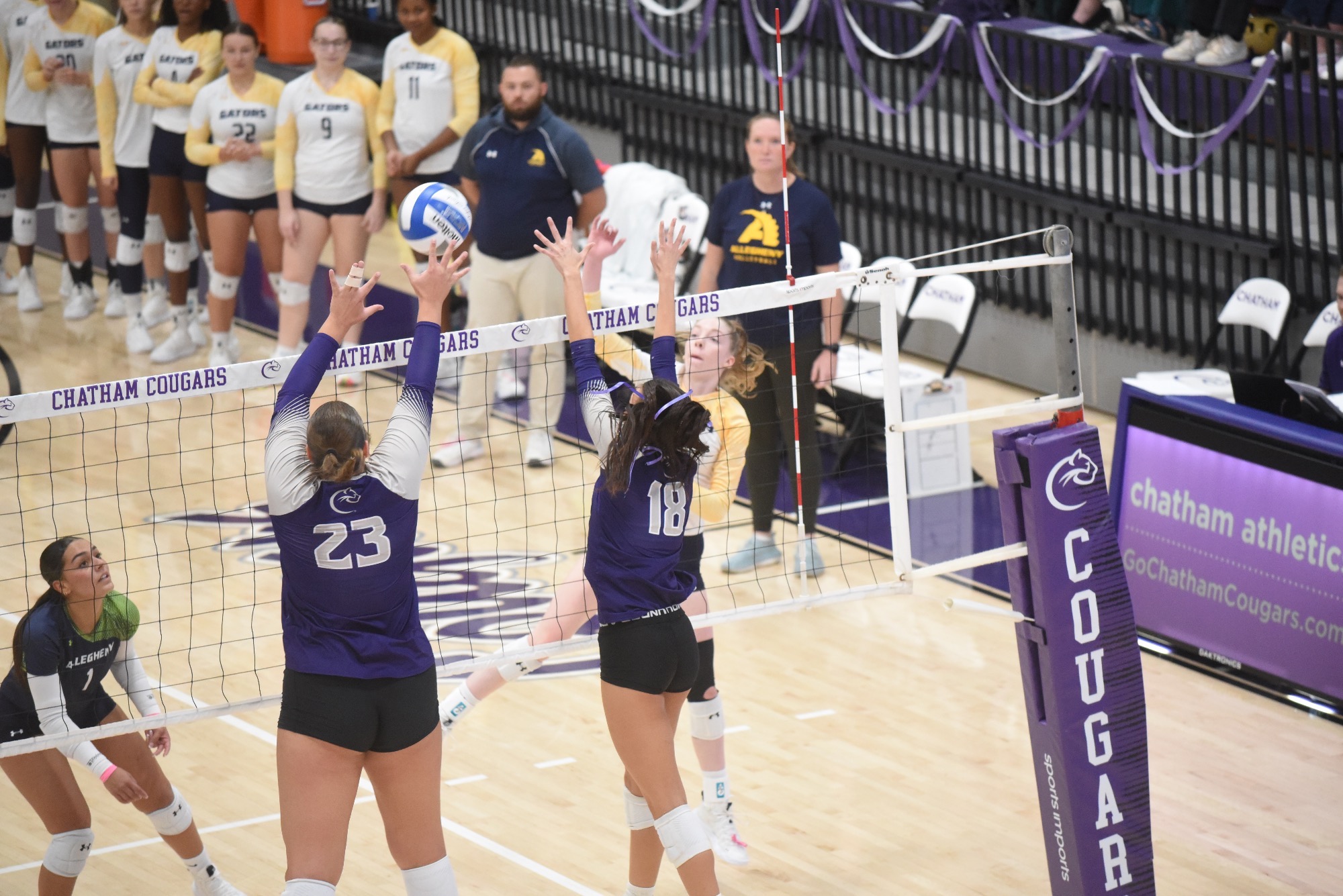 WVB