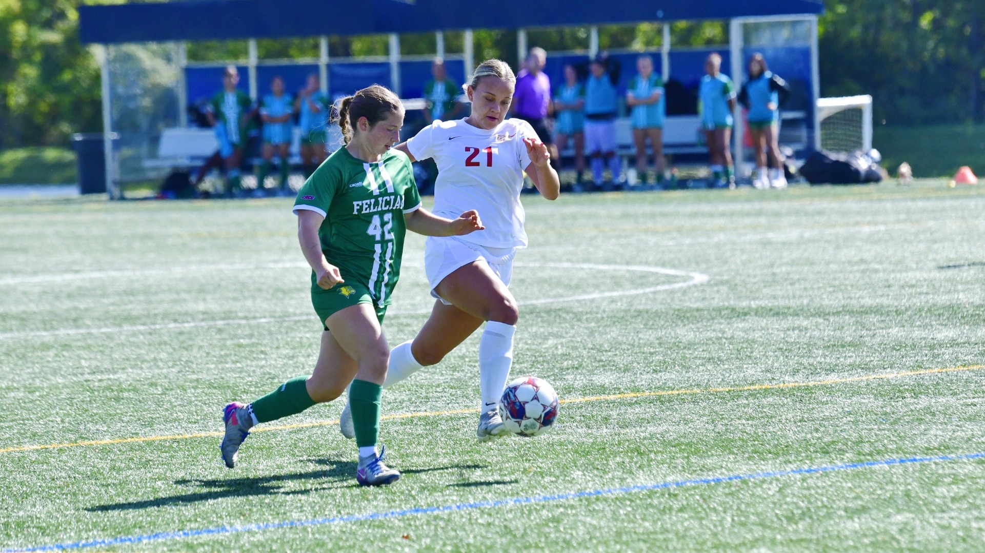 Abby Collins
