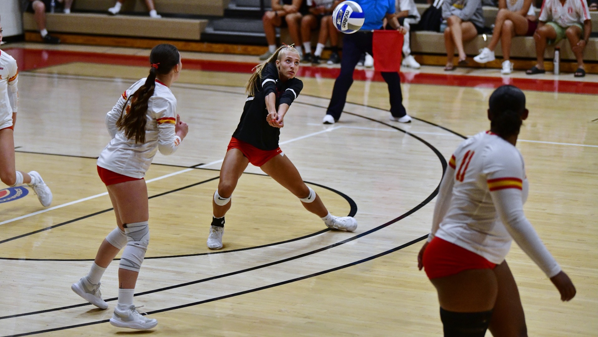 Rachel Mace -digs