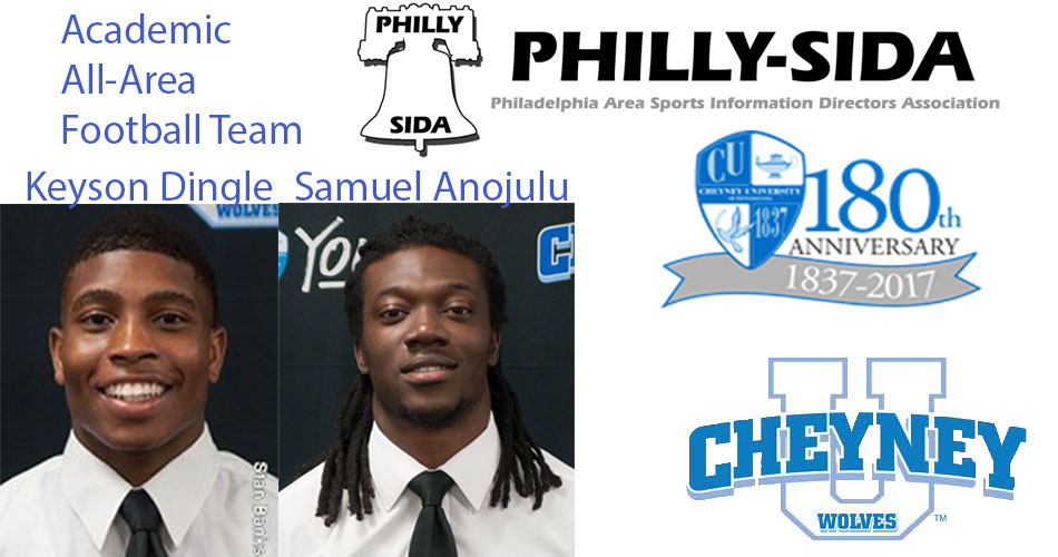 Academic all-area football 17