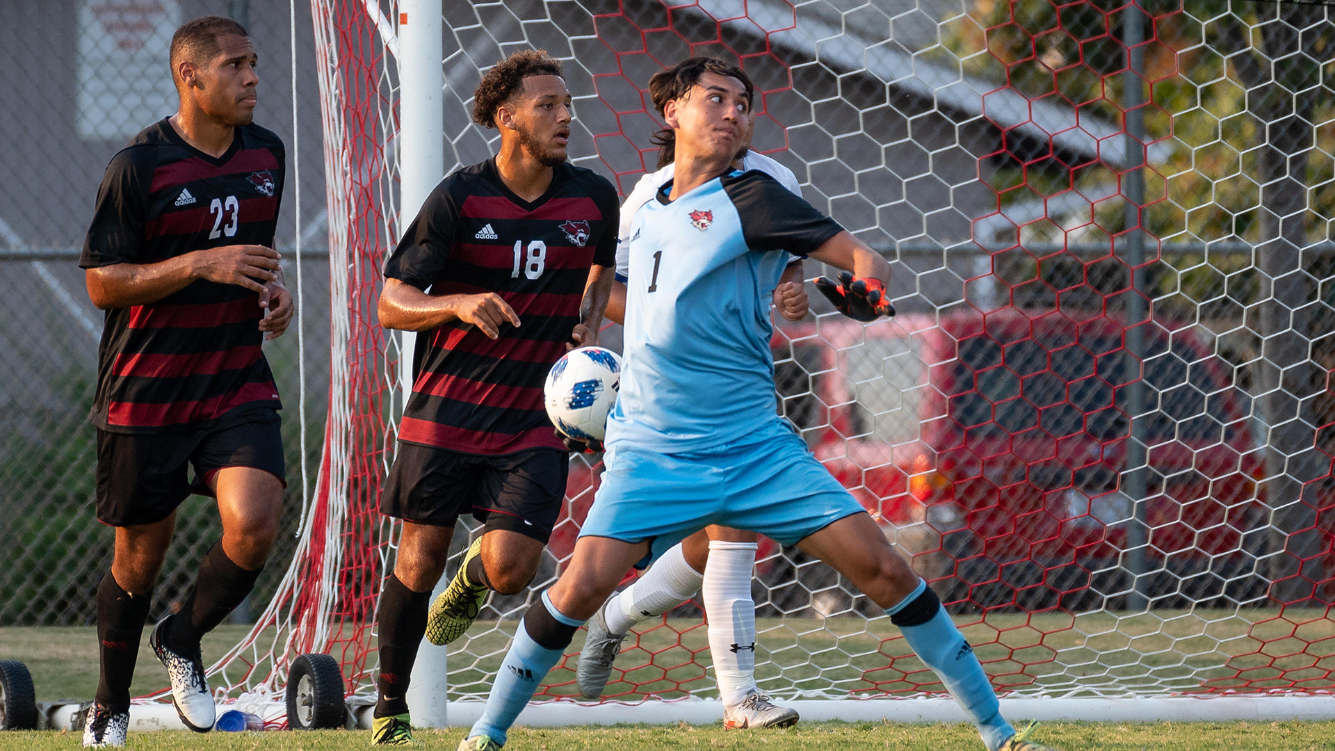 Scoreless Draw In Seattle Strong Result For Wildcats Chico State 