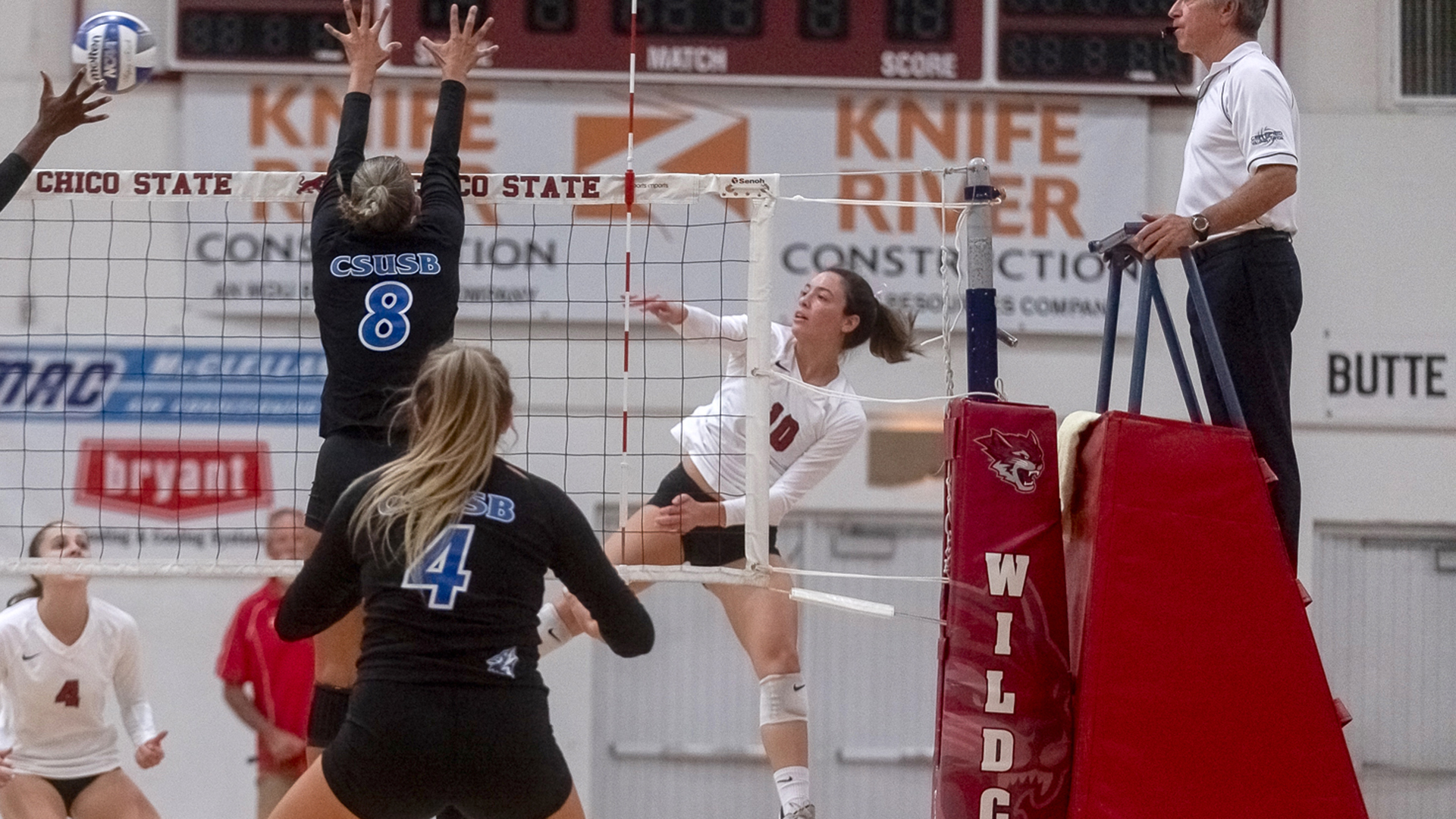 Taylor Whyte 2022 Volleyball Chico State Athletics