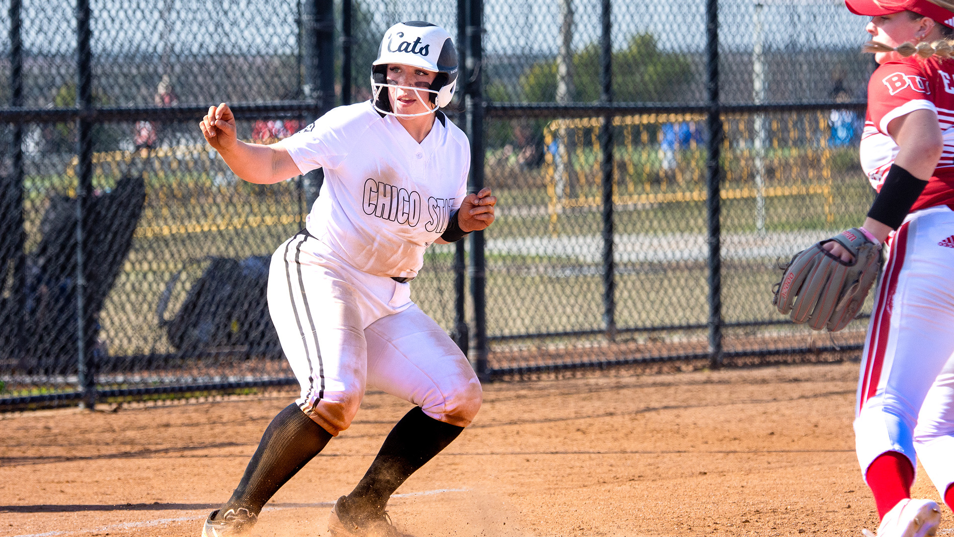 Laney Berkowitz 2023 Softball Chico State Athletics