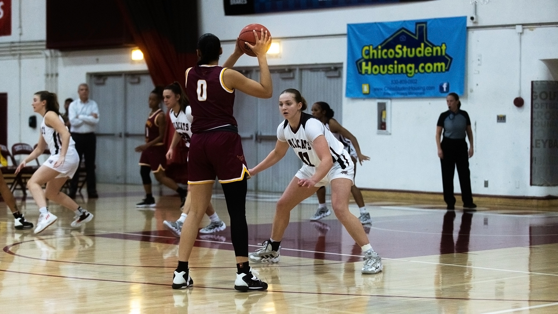 Stella Rollo - 2023-24 - Women's Basketball - Chico State Athletics