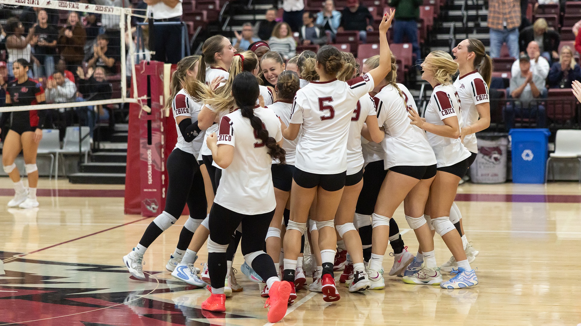 Volleyball Celebration