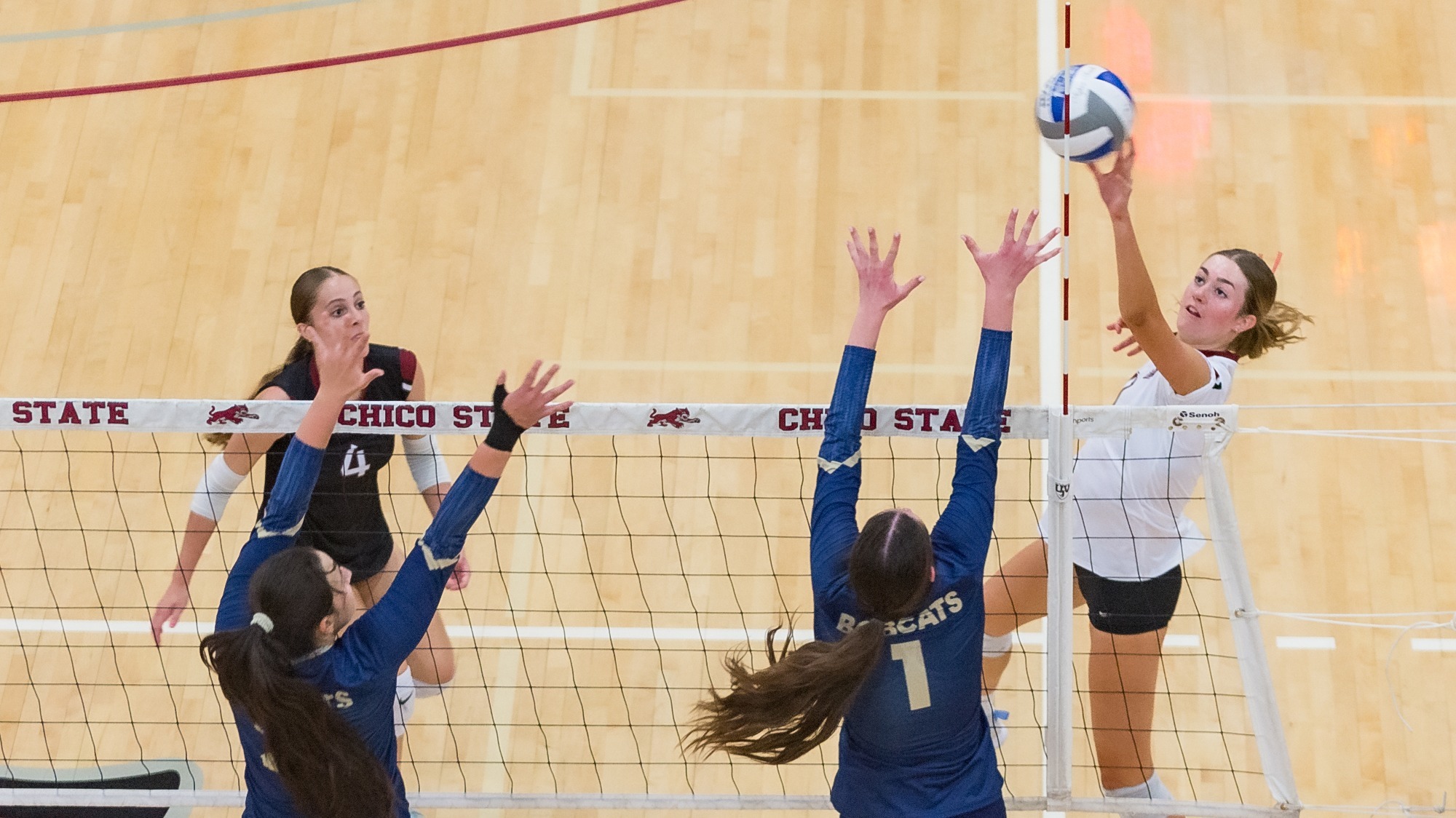Chico State Wildcats' #4 Jessie Camarillo (left) and #11 Maria Wahl (right) play against UC Merced Bobcats in the first set of their Volleyball (WVB) game on Thursday, October 30, 2025 in Chico, Calif.(Jason Halley/University Photographer/Chico State)
