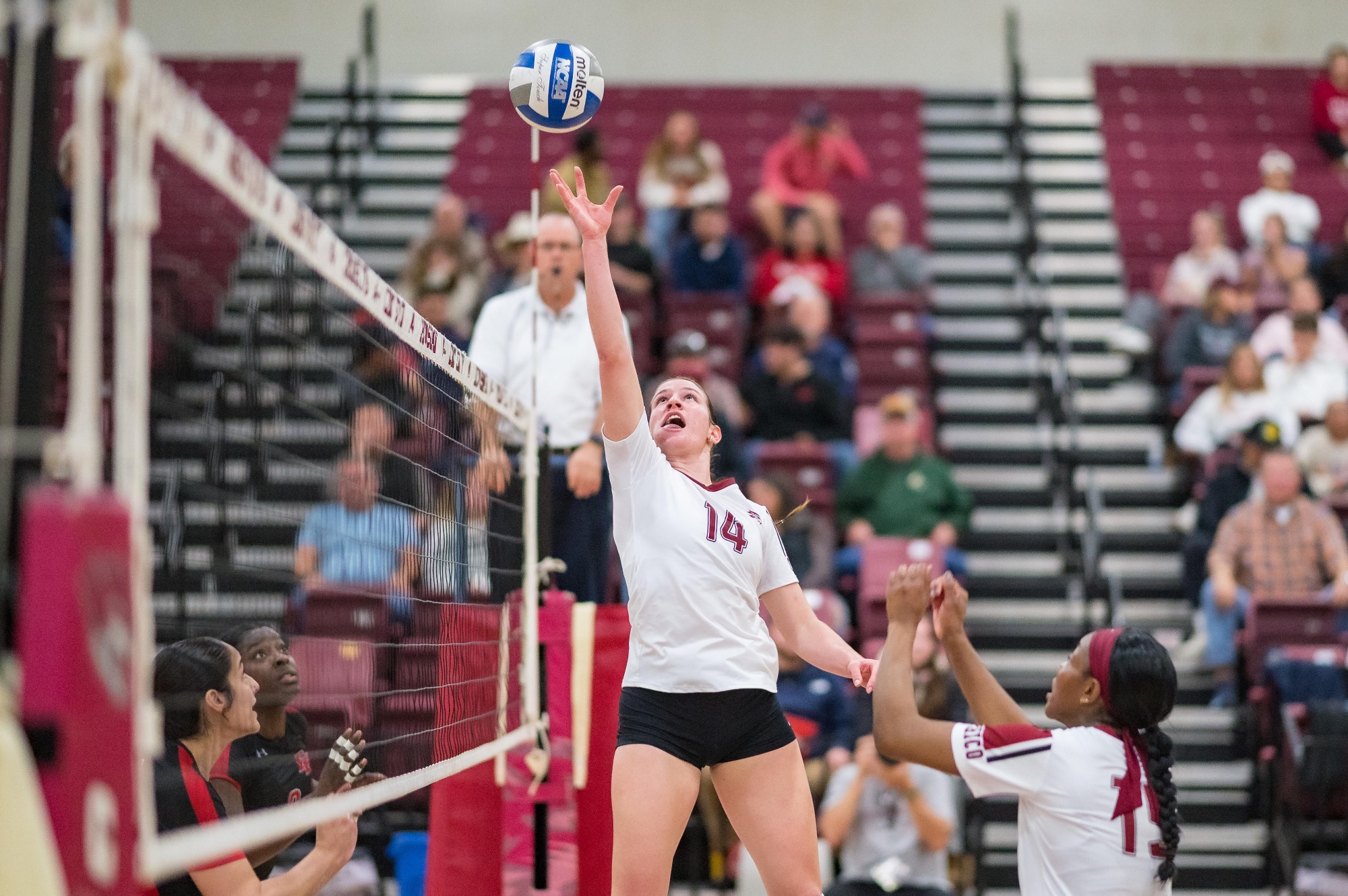 Chico State Wildcats' #14 Claire Nordeen (left) plays against Cal State East Bay before the third set of their Women's Volleyball (WVB) match on Thursday, November 13, 2025 in Chico, Calif.(Jason Halley/University Photographer/Chico State)