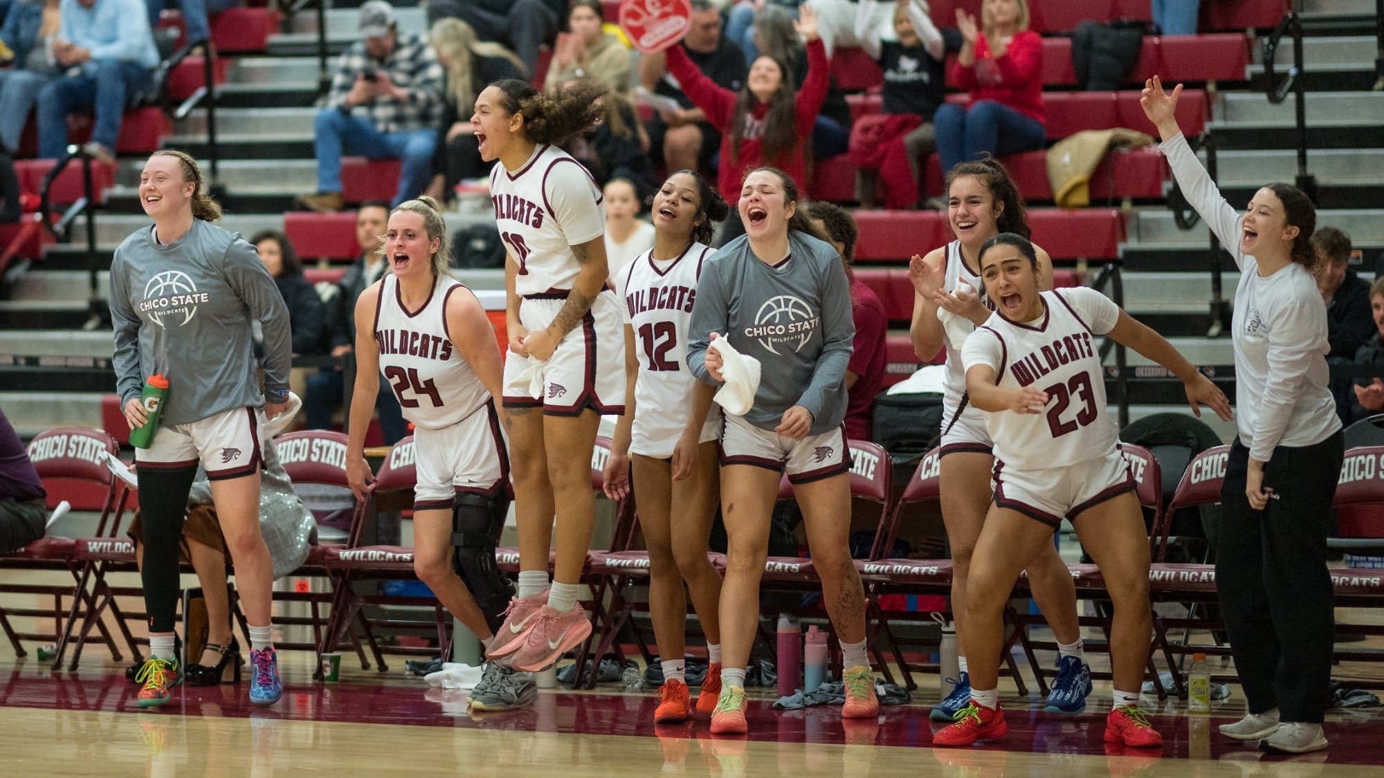 Chico State Wildcats’ bench reacts to a score against UC Merced Bobcats in the fourth quarter of their Women's Basketball (WBB) game on Thursday, December 4, 2025 in Chico, Calif.(Jason Halley/University Photographer/Chico State)