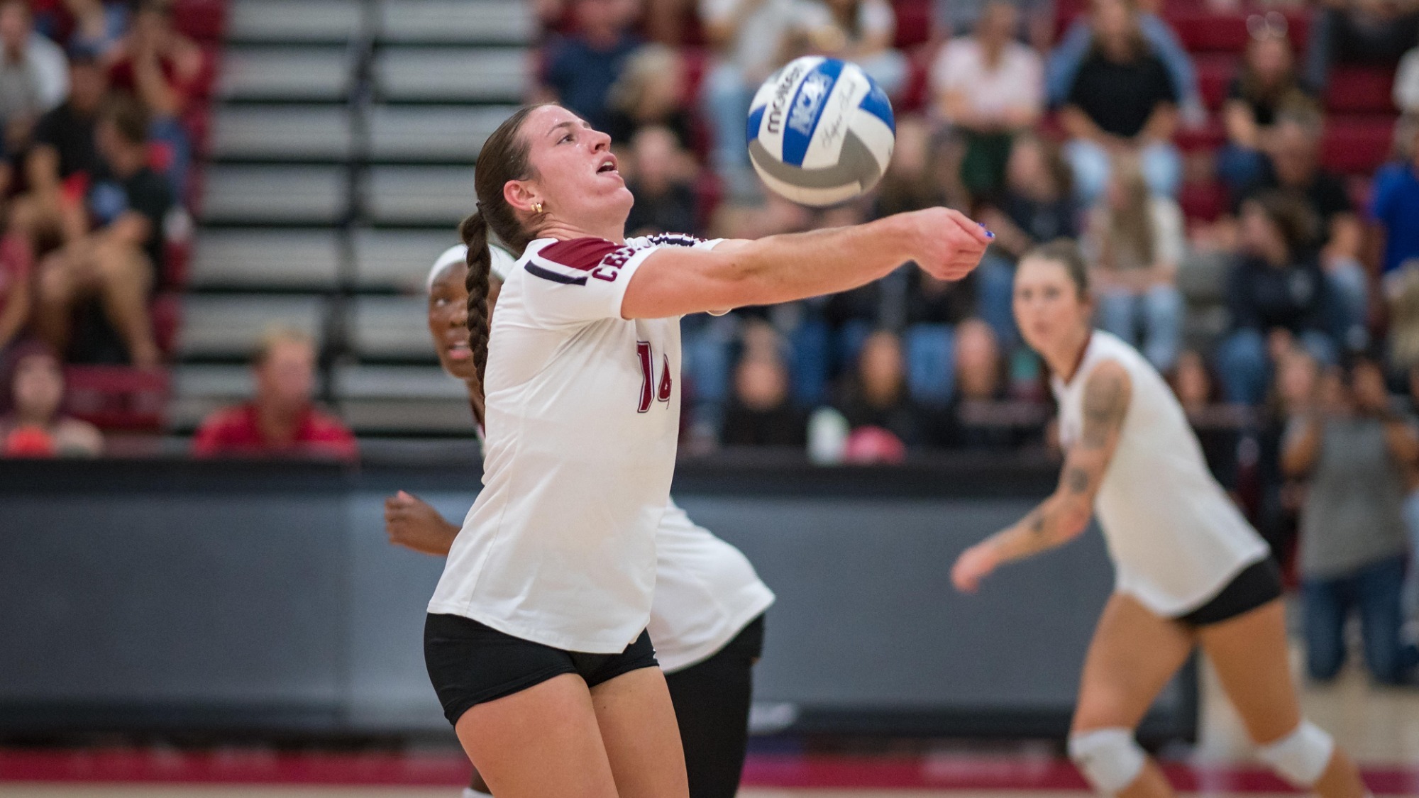 Chico State Wildcats’ #14 Claire Nordeen bumps against Cal State Monterey Bay Otters in the first game of their Volleyball (WVB) match on Thursday, September 24, 2026 in Chico, Calif.(Jason Halley/University Photographer/Chico State)