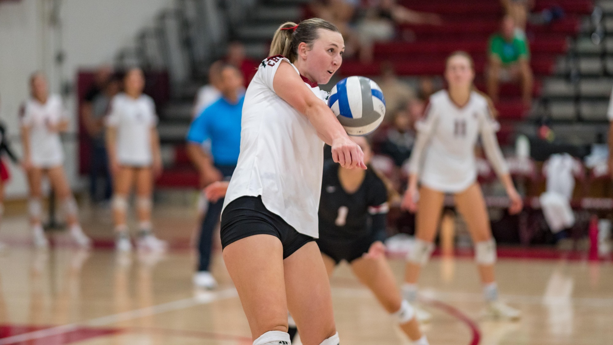 Chico State Wildcats’ #20 Sophia Heller digs against Cal State Monterey Bay Otters in the fifth game of their Volleyball (WVB) match on Thursday, September 24, 2026 in Chico, Calif.(Jason Halley/University Photographer/Chico State)
