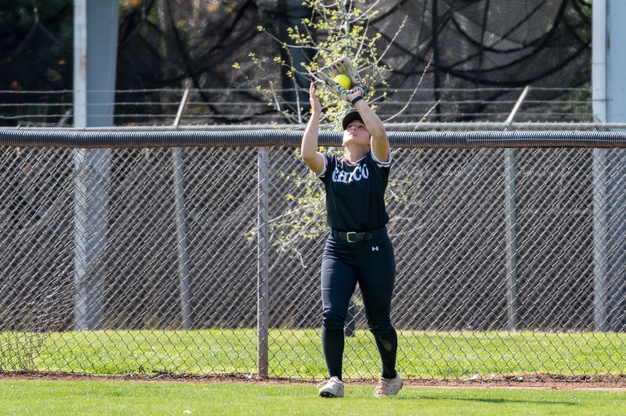 Italia Abrenica catching a fly ball in center field against CSUSB