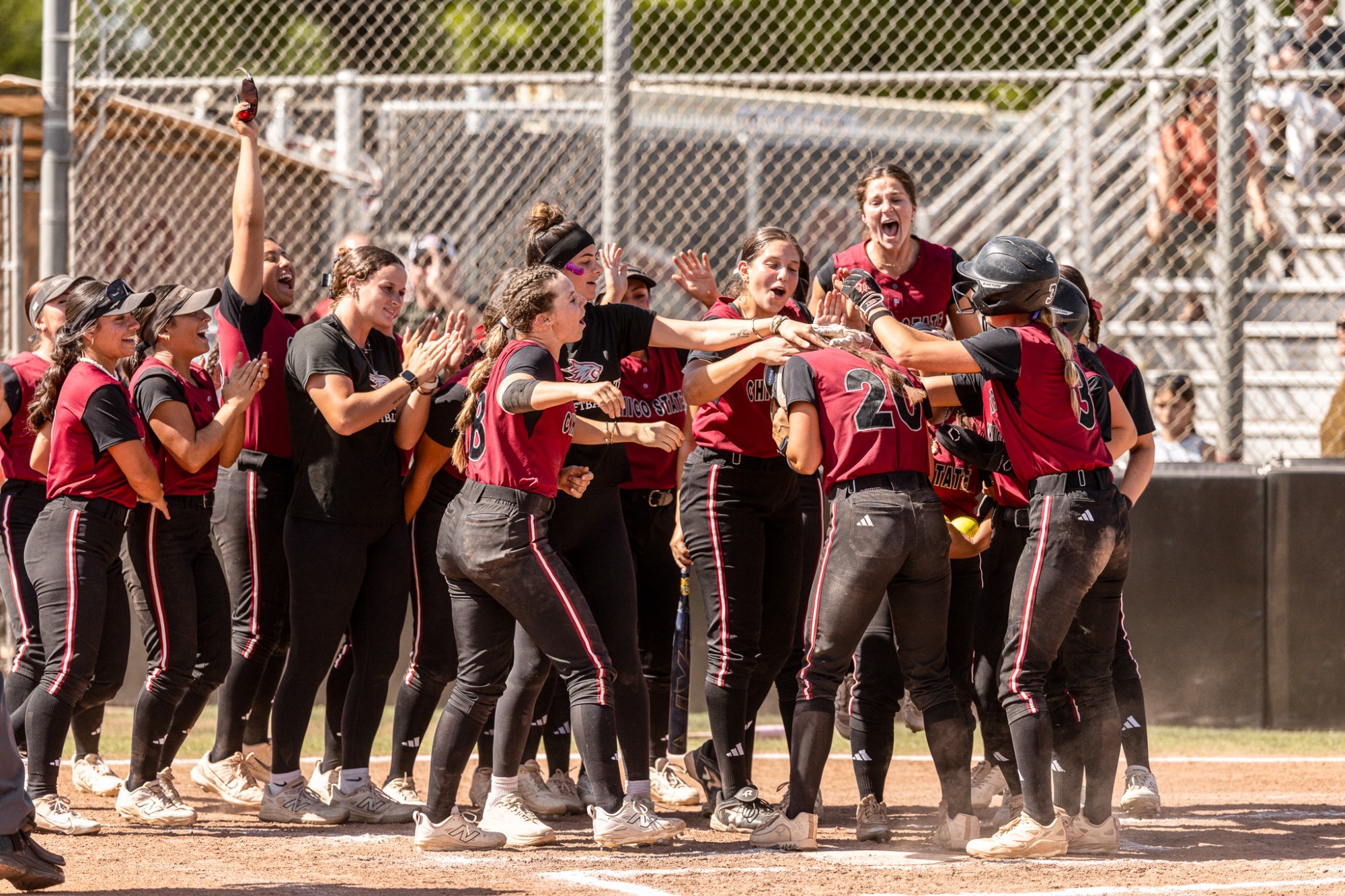Wildcats celebrating Ali Lewis homer against Stanislaus State