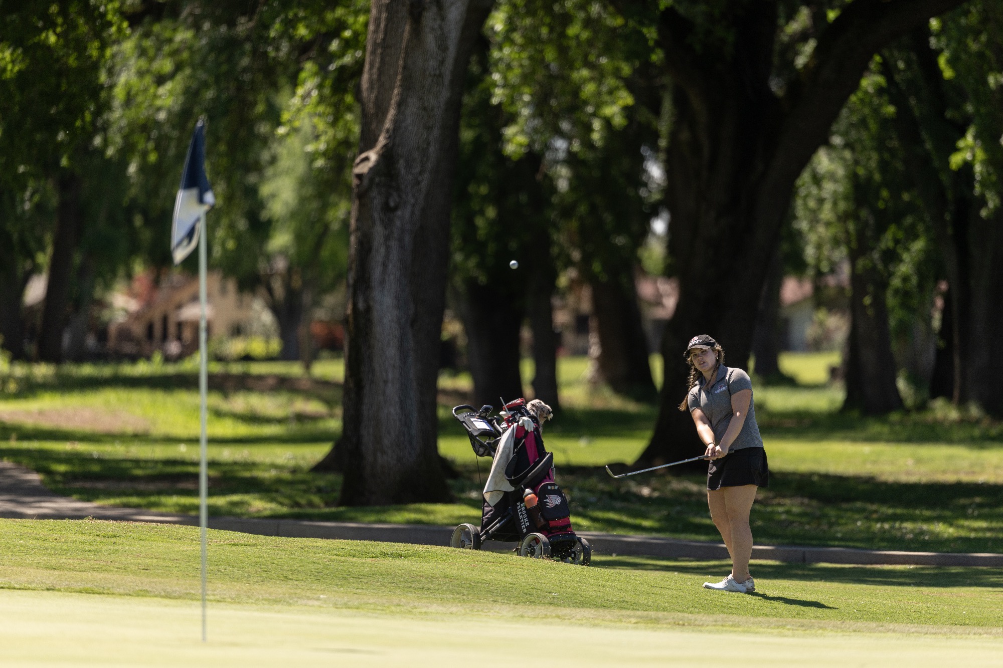 Brooke Pelletier chipping a shot towards the hole at Butte Creek CC