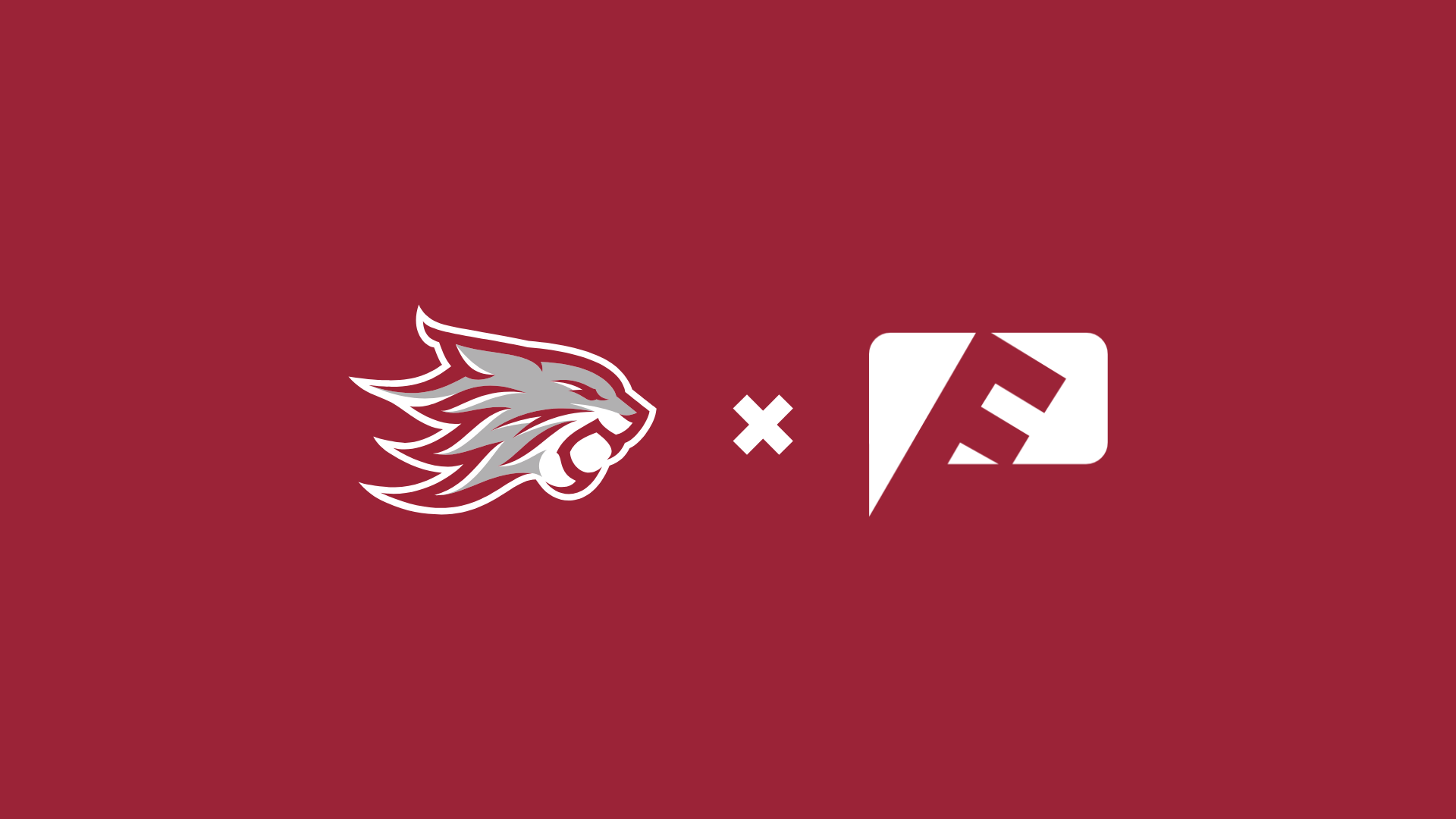 FanWord/Chico State logo graphic