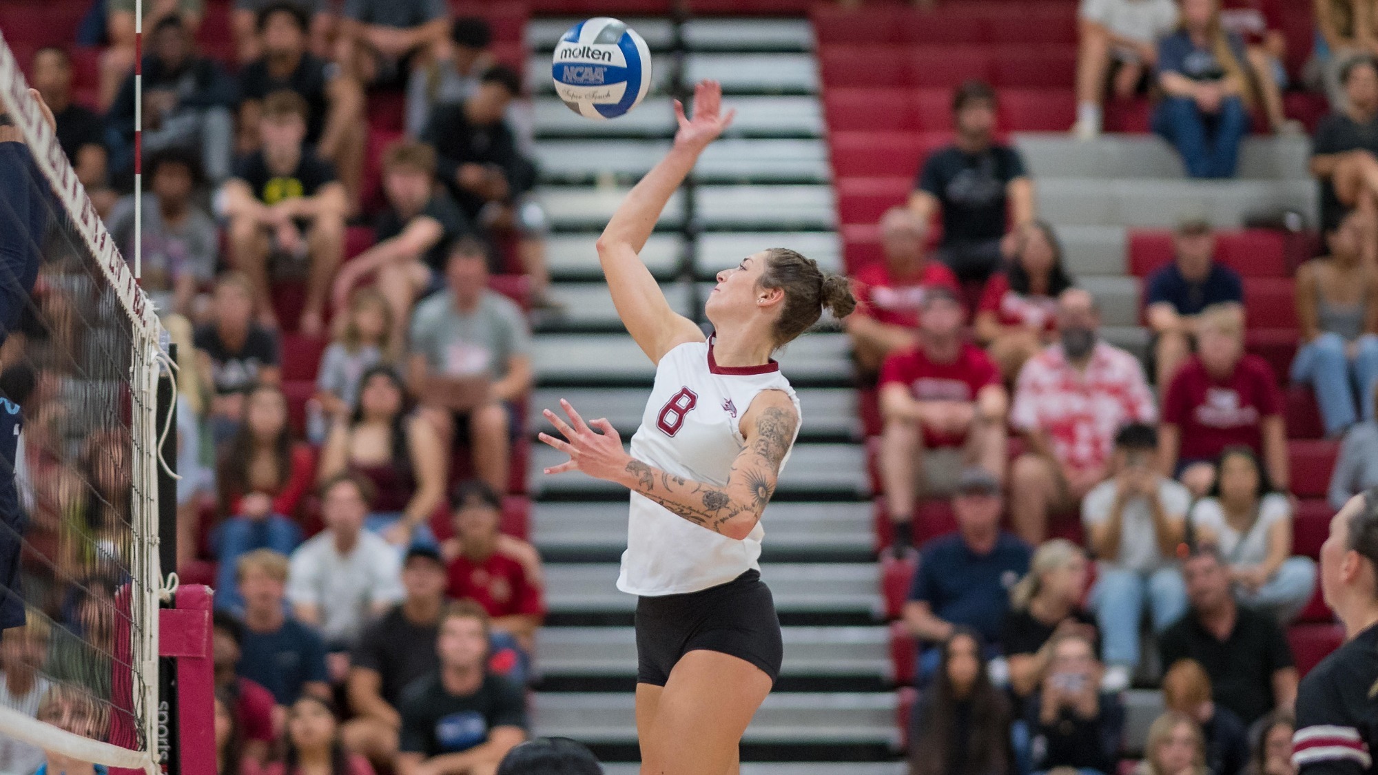 Chico State Wildcats’ #8 Kassandra Nall (center) against Cal State Monterey Bay Otters in the first game of their Volleyball (WVB) match on Thursday, September 24, 2026 in Chico, Calif.(Jason Halley/University Photographer/Chico State)