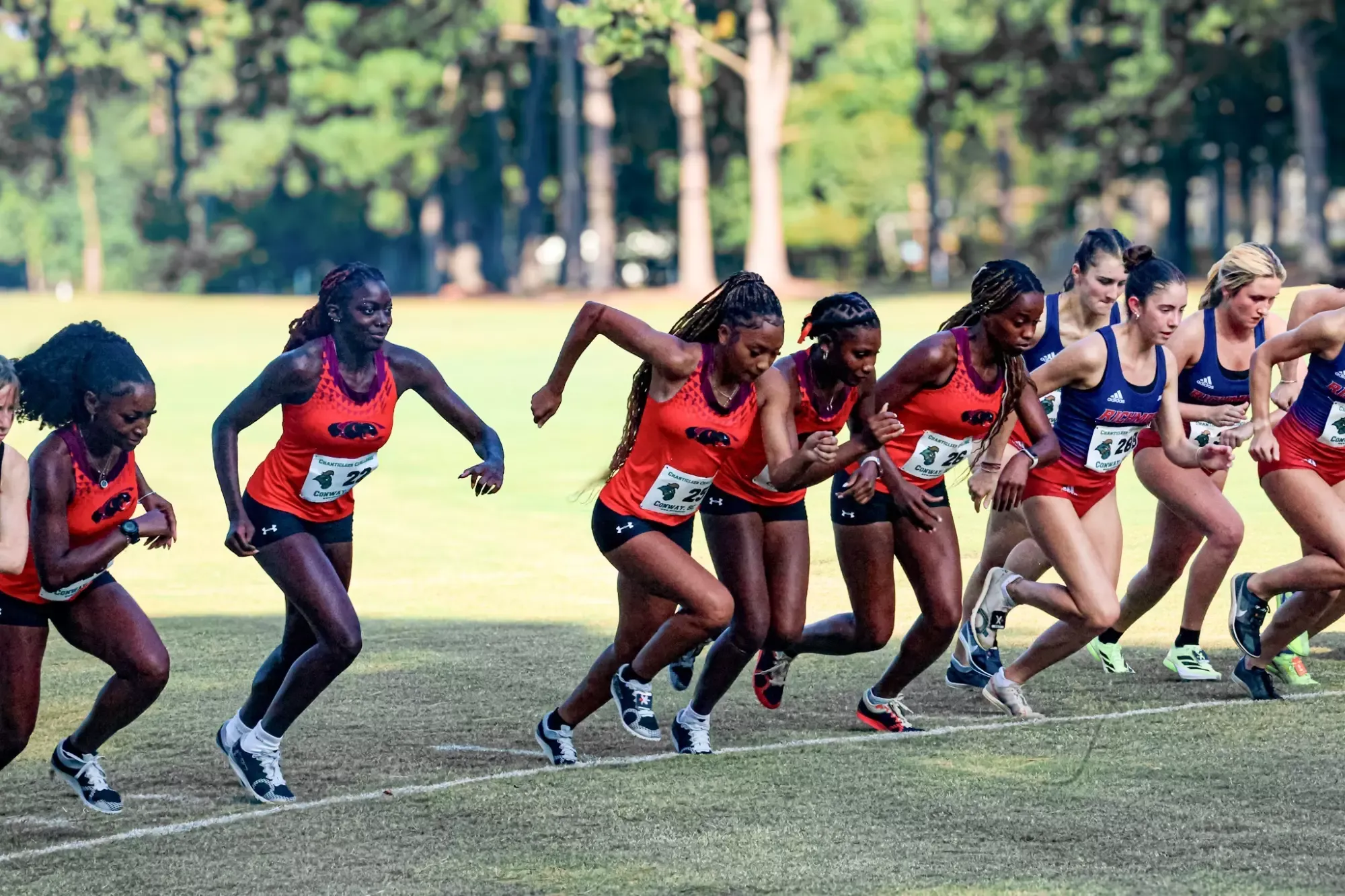 Lady Panthers at Chanticleer Challenge 