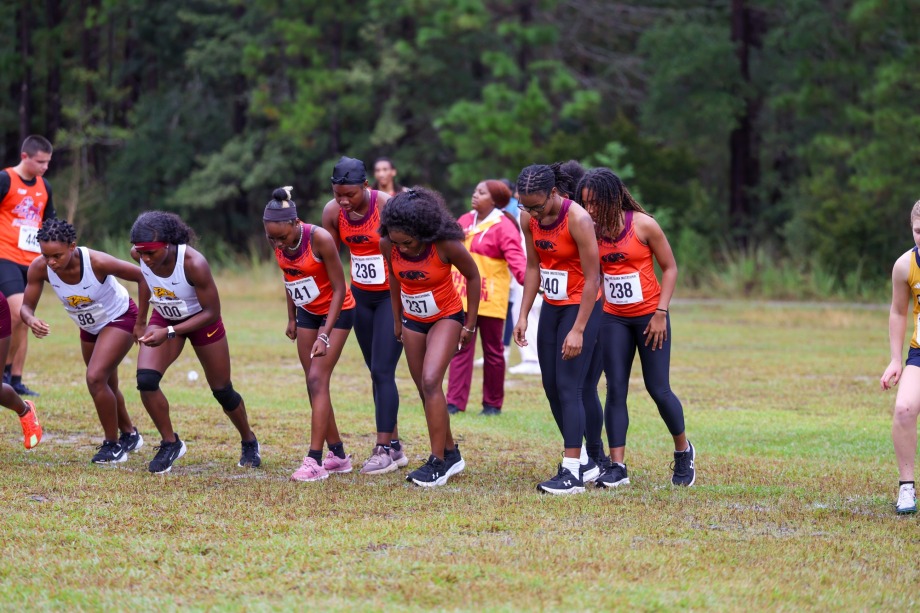 xc