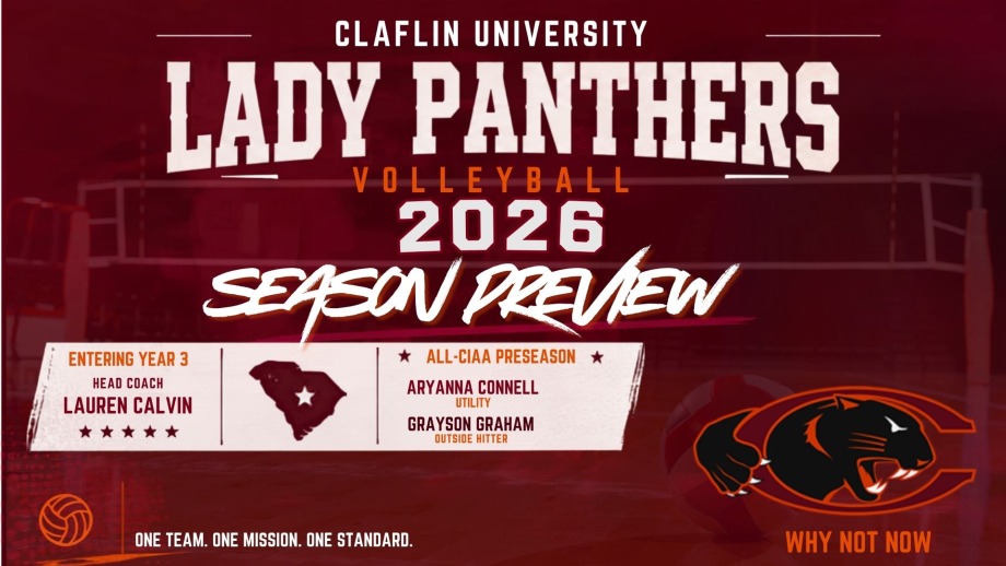 vb preview