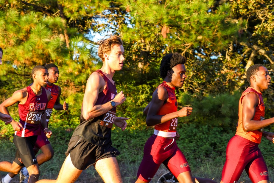 xc
