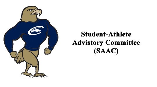 SAAC Logo