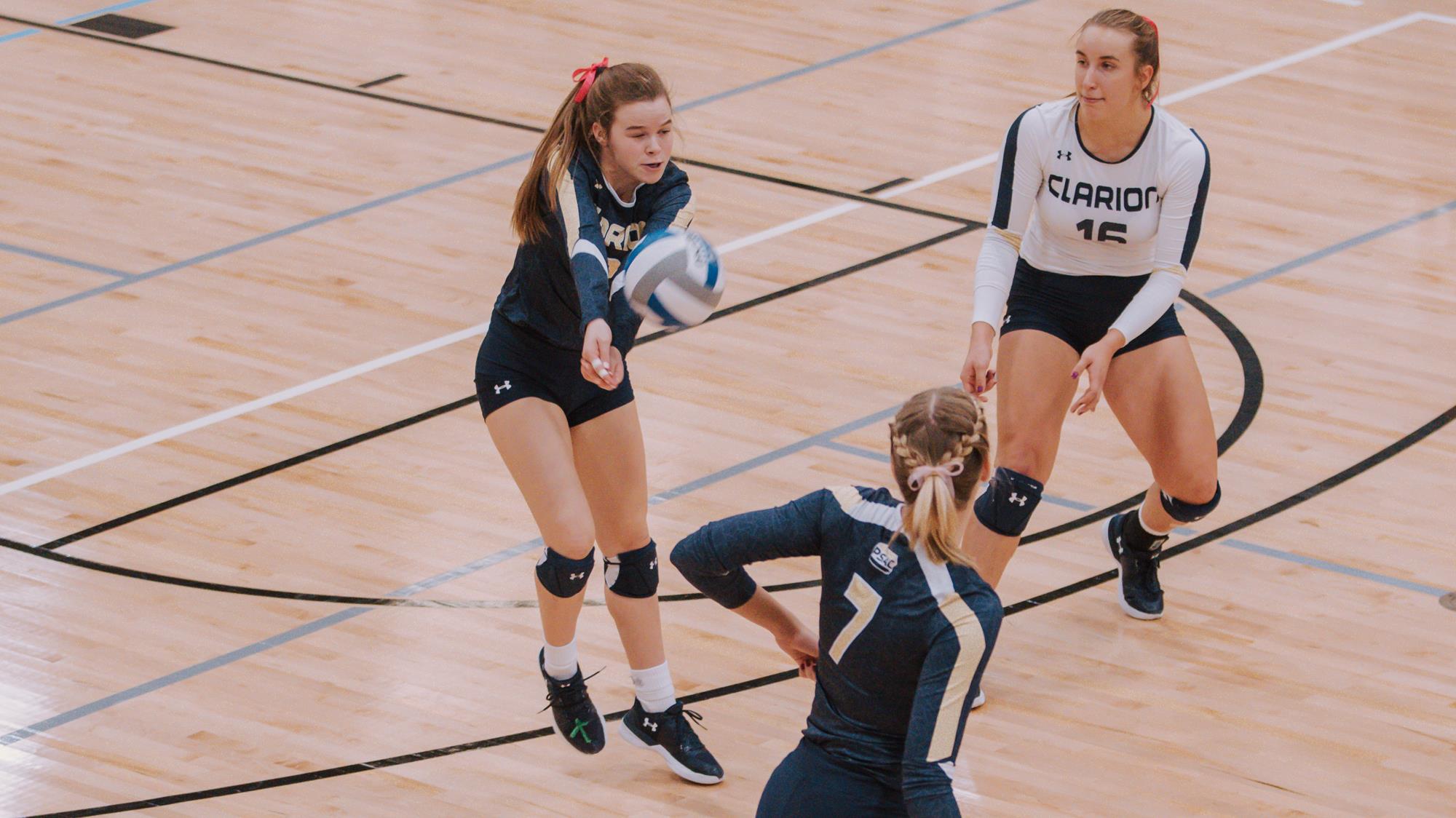 Cambron Hampton Volleyball Clarion Athletics