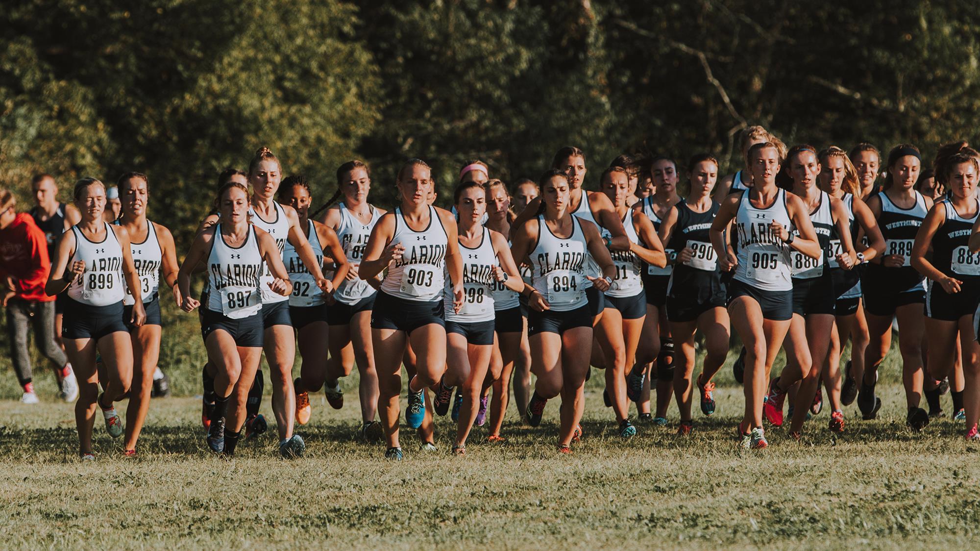 Track & Field, Cross Country Announce 2019 Recruits Clarion Athletics