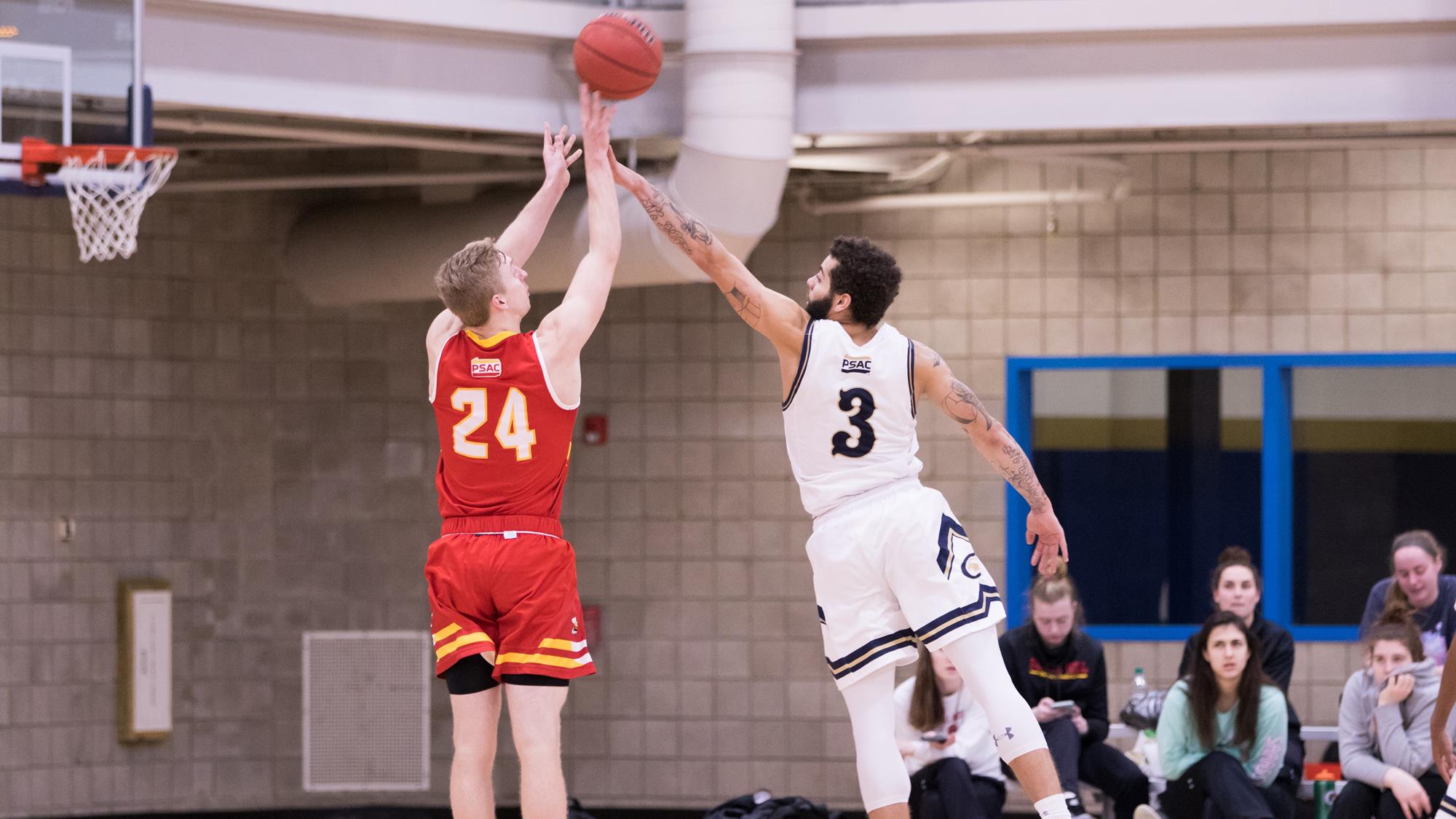 Men's Basketball Grounded by Davis and Elkins Clarion Athletics