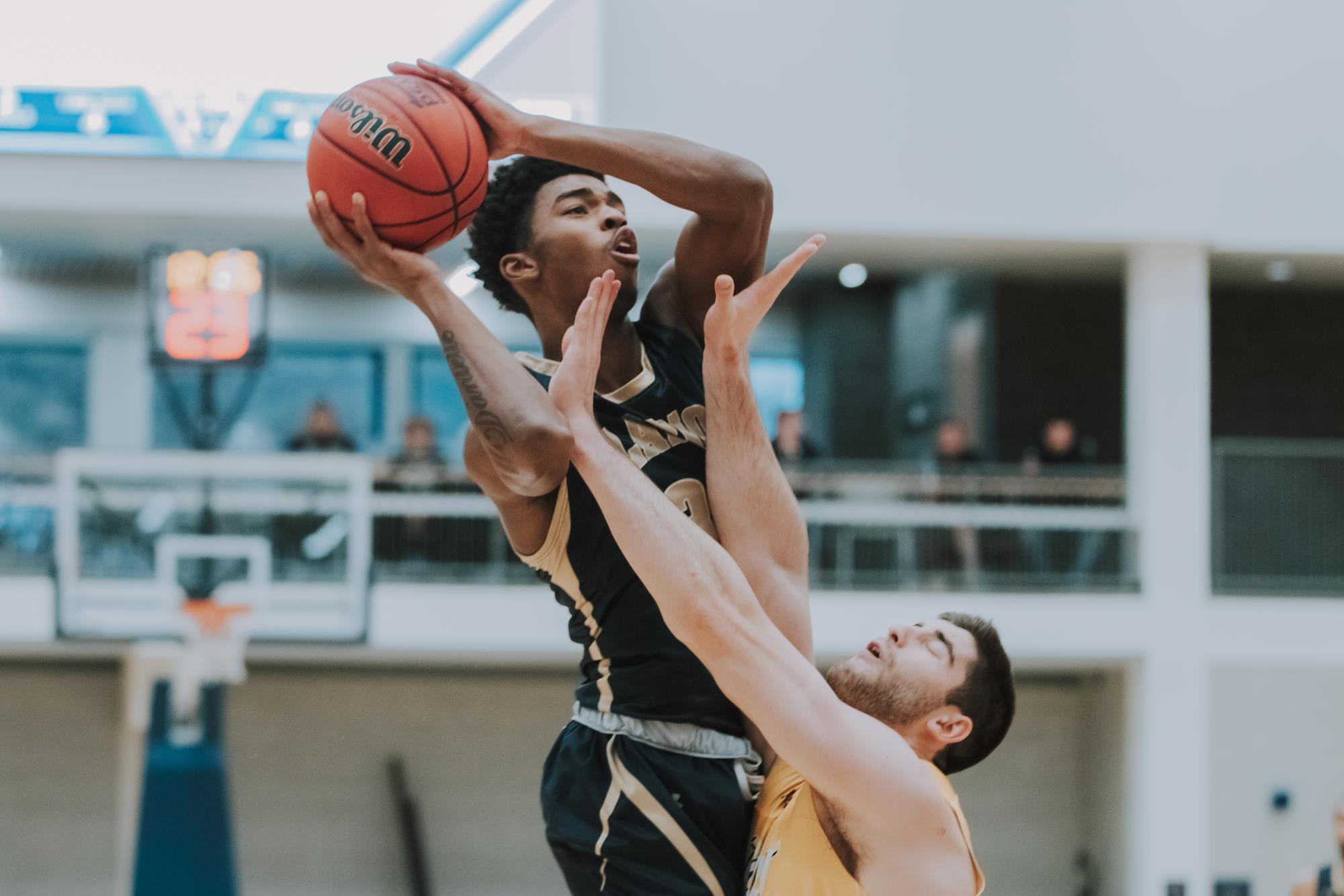 Men's Basketball Grounded by Mercyhurst Clarion Athletics