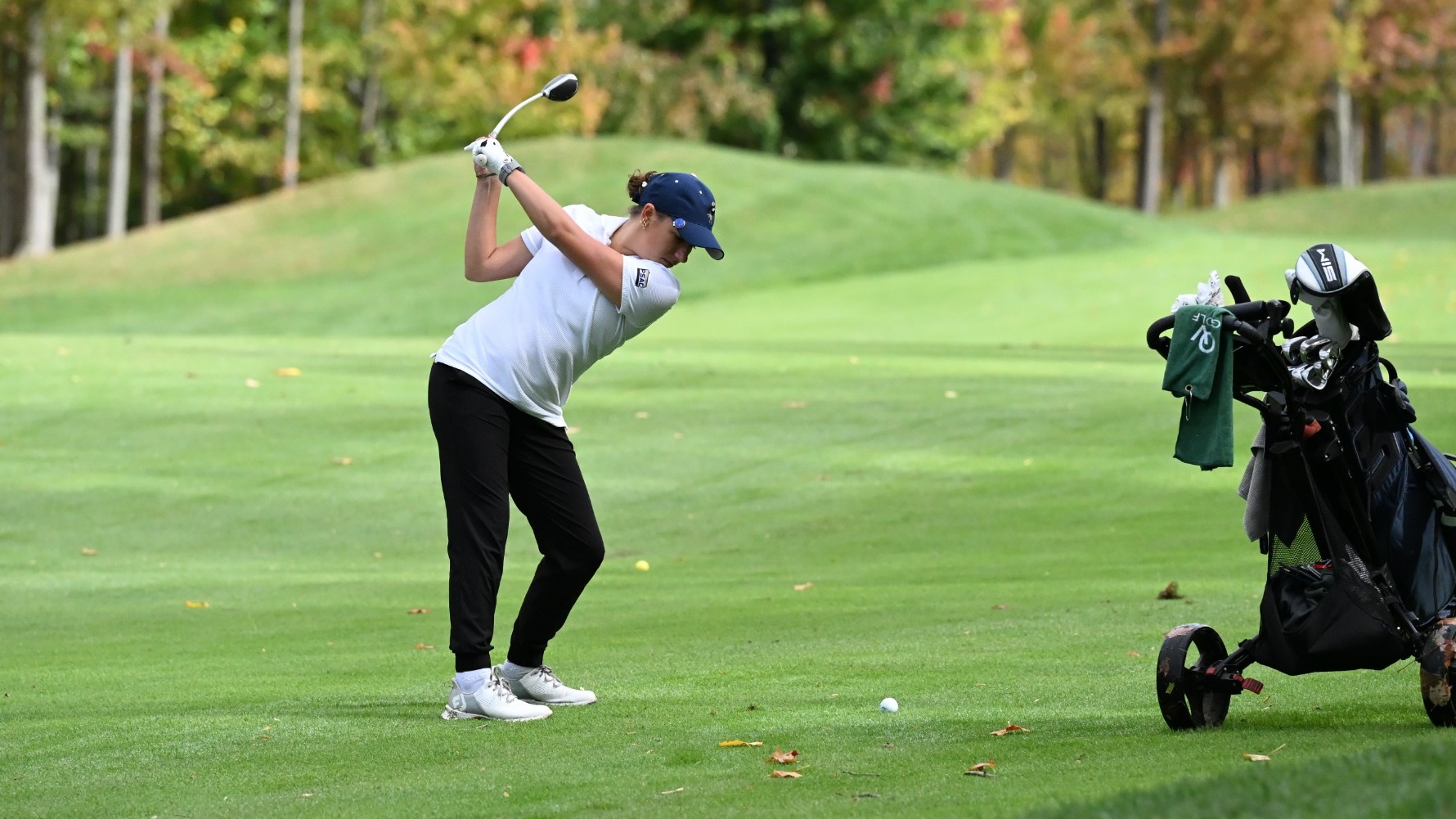 amber roth michael corbett