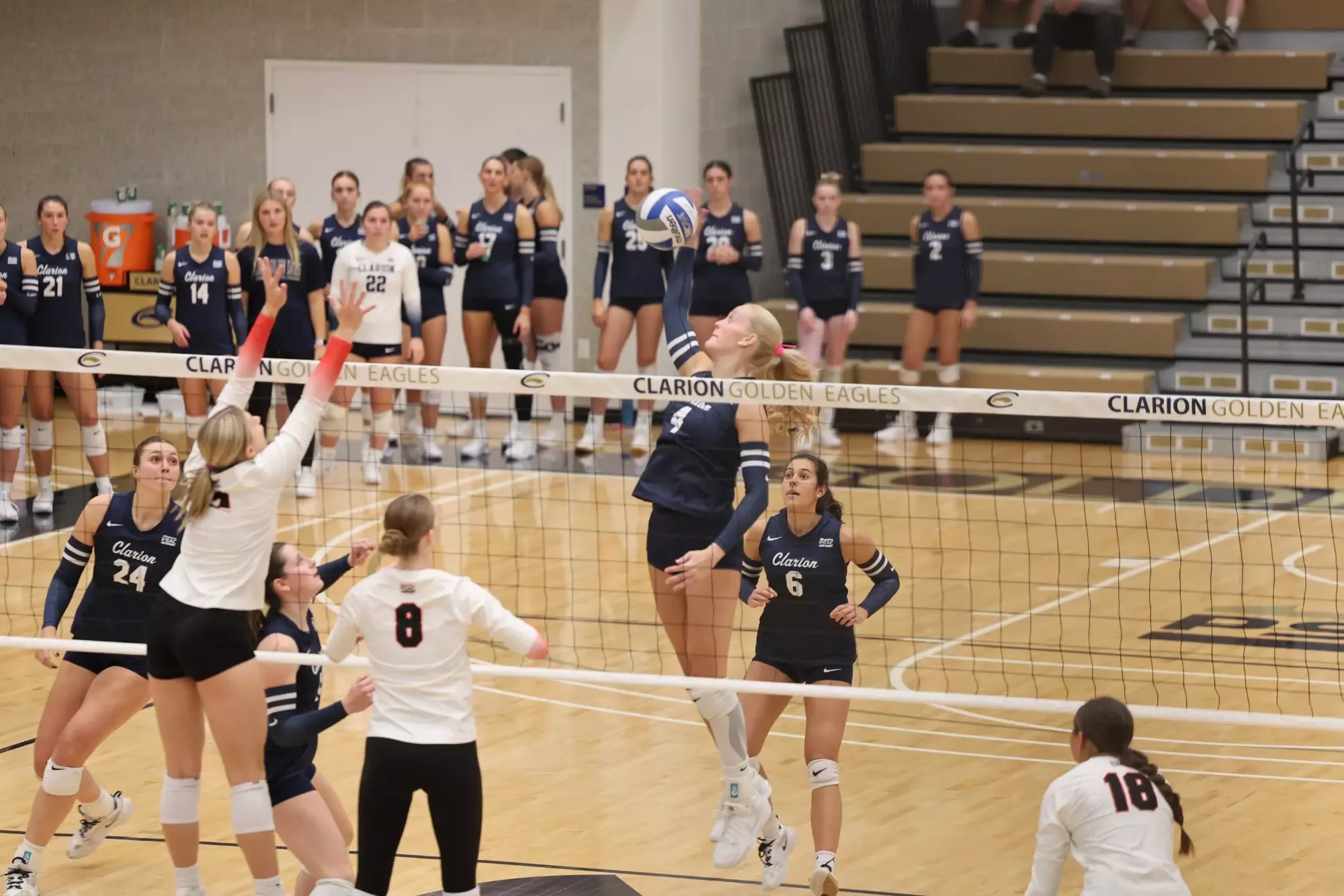 Finley Kill vs Cal
