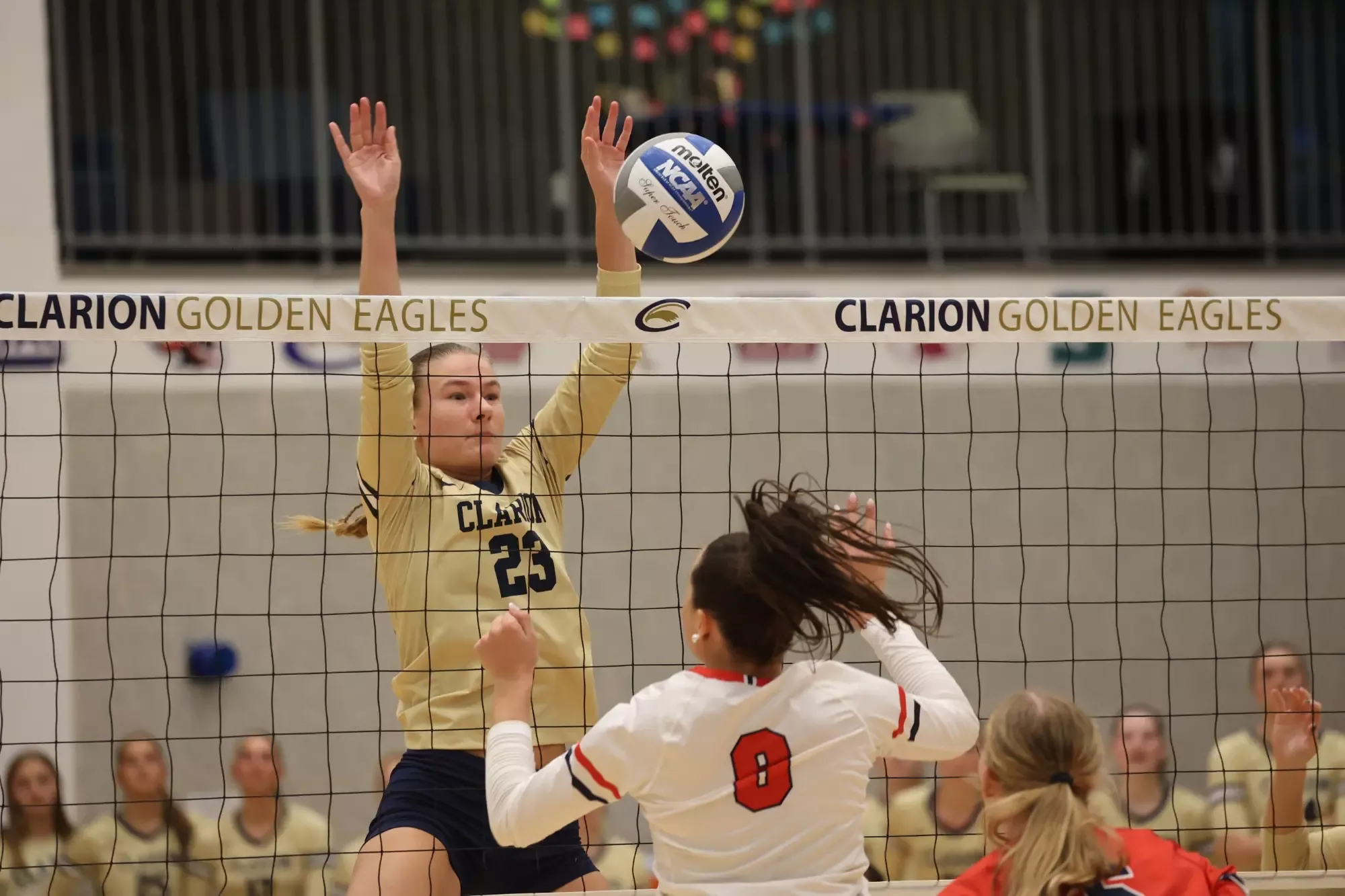 Berchtold Block Shippensburg