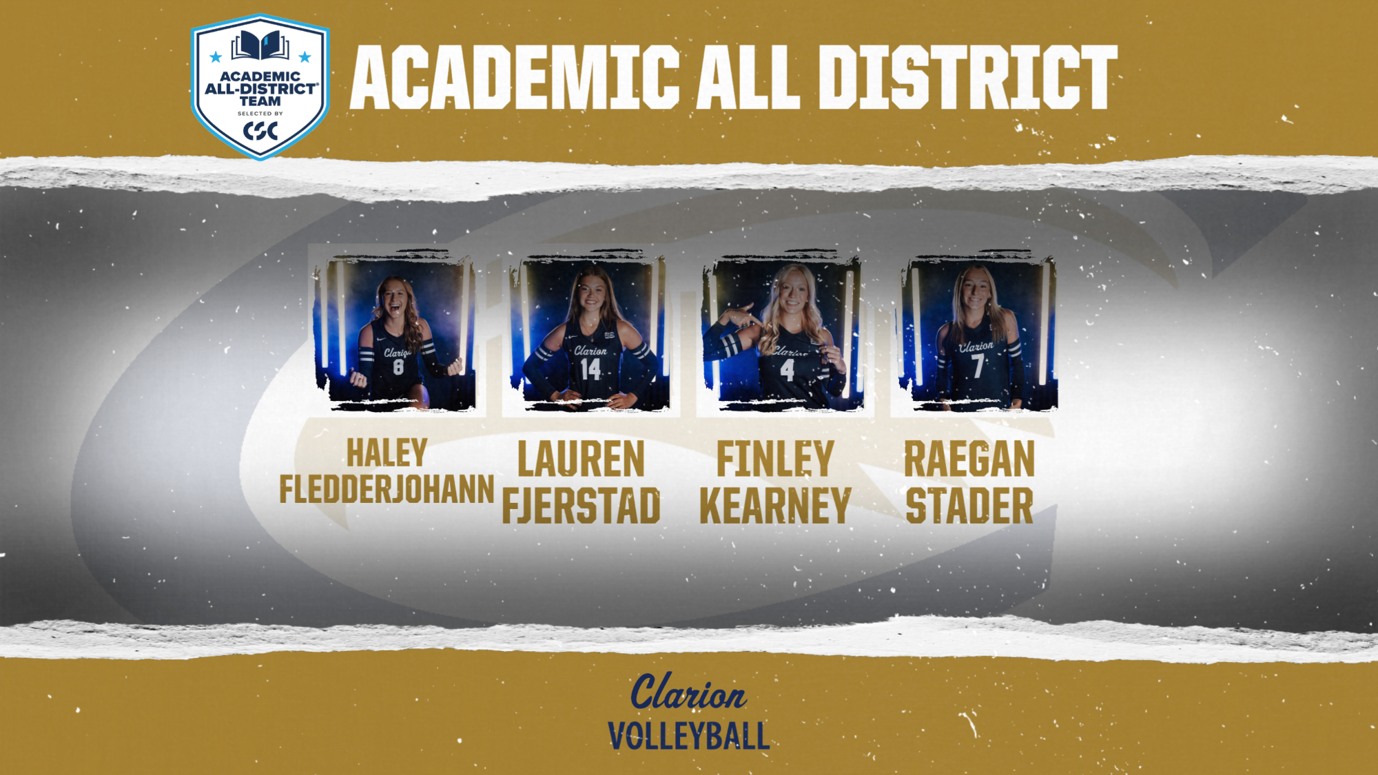 2025 volleyball academic all district selections