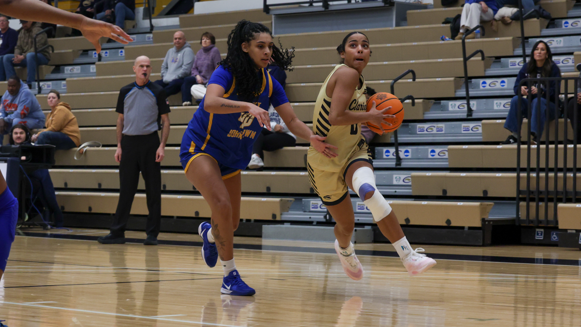 zoe guice vs pitt johnstown 2026-01-17