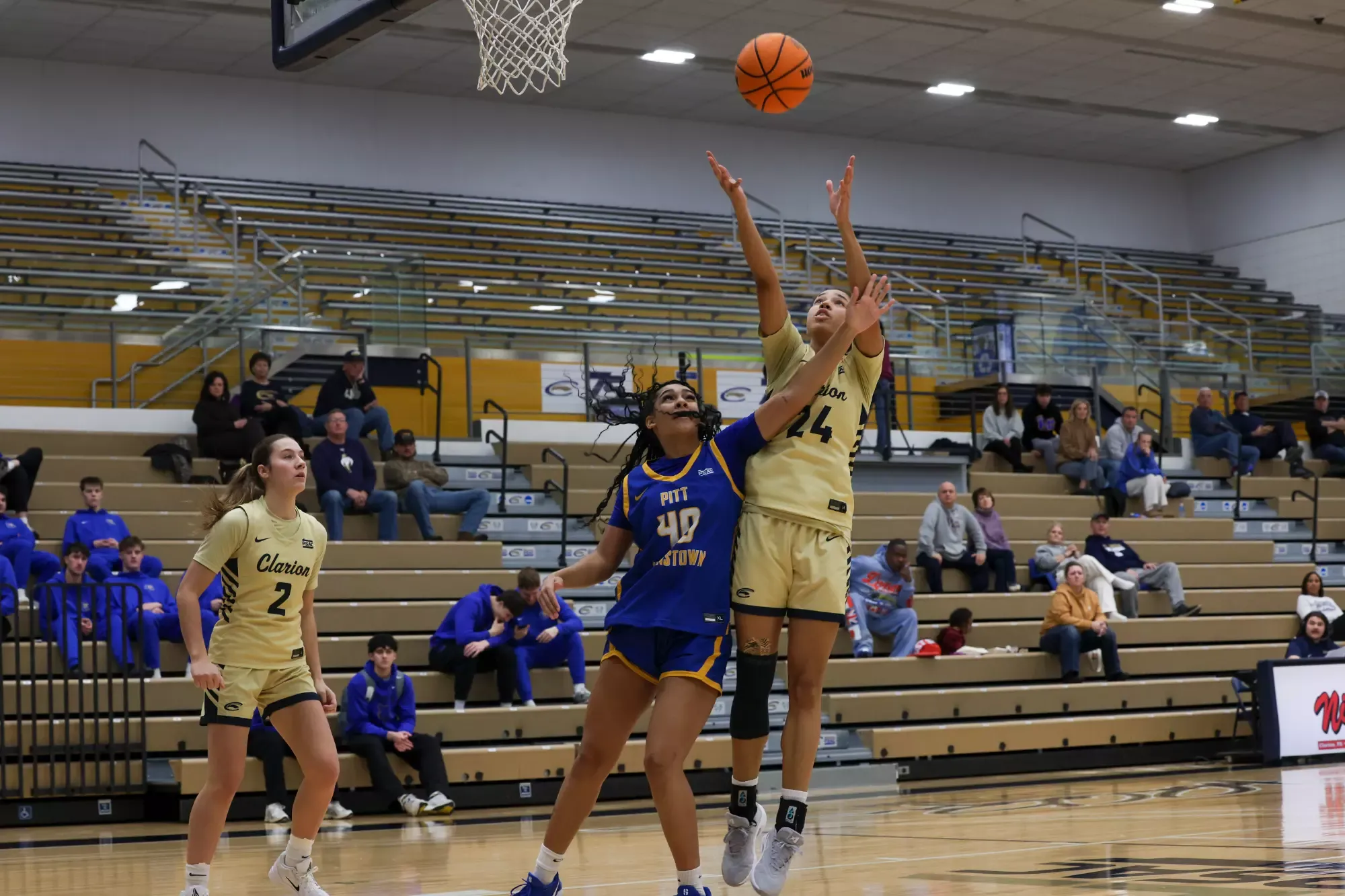 Smedley Rebound UPJ