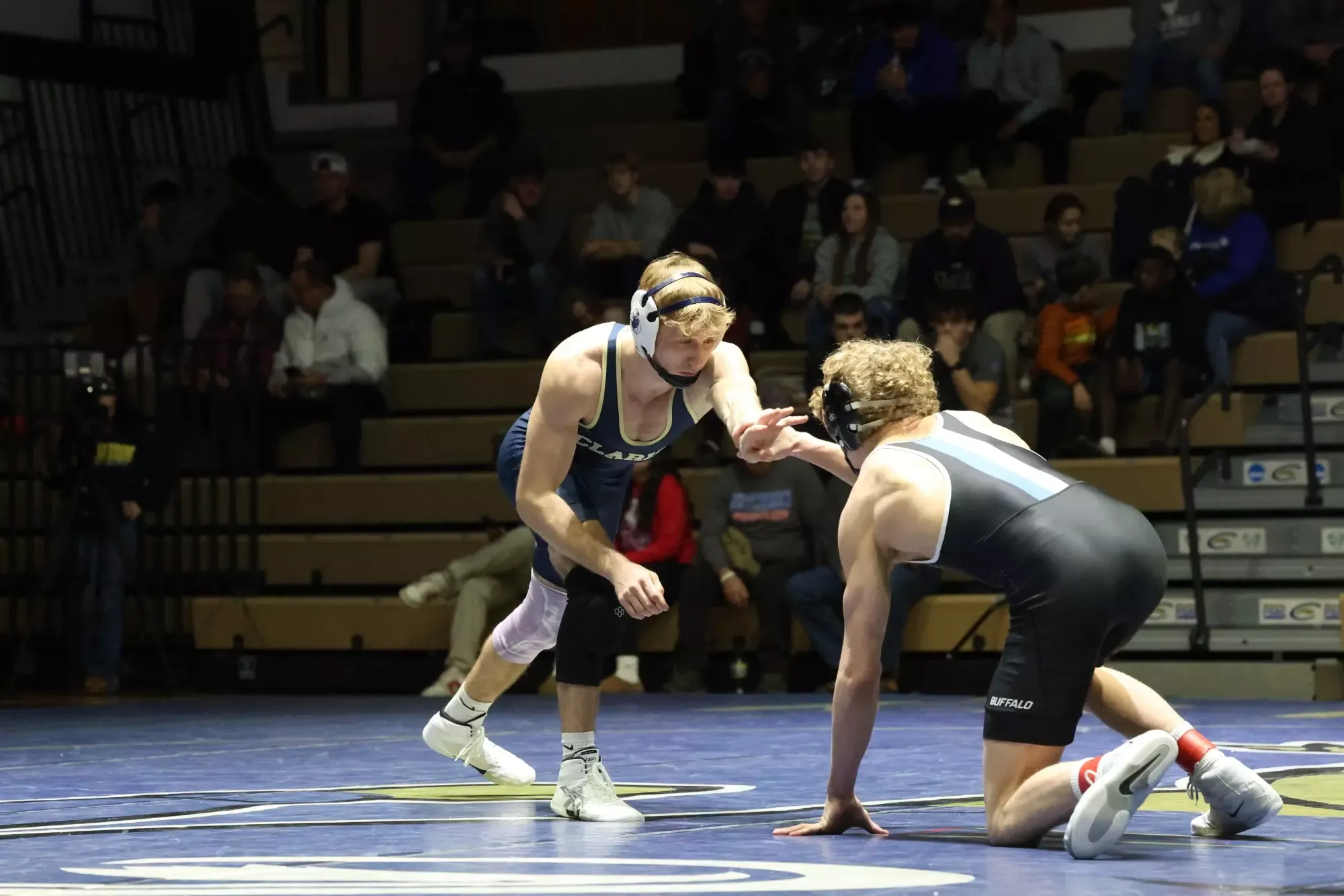 Fairchild Neutral Buffalo