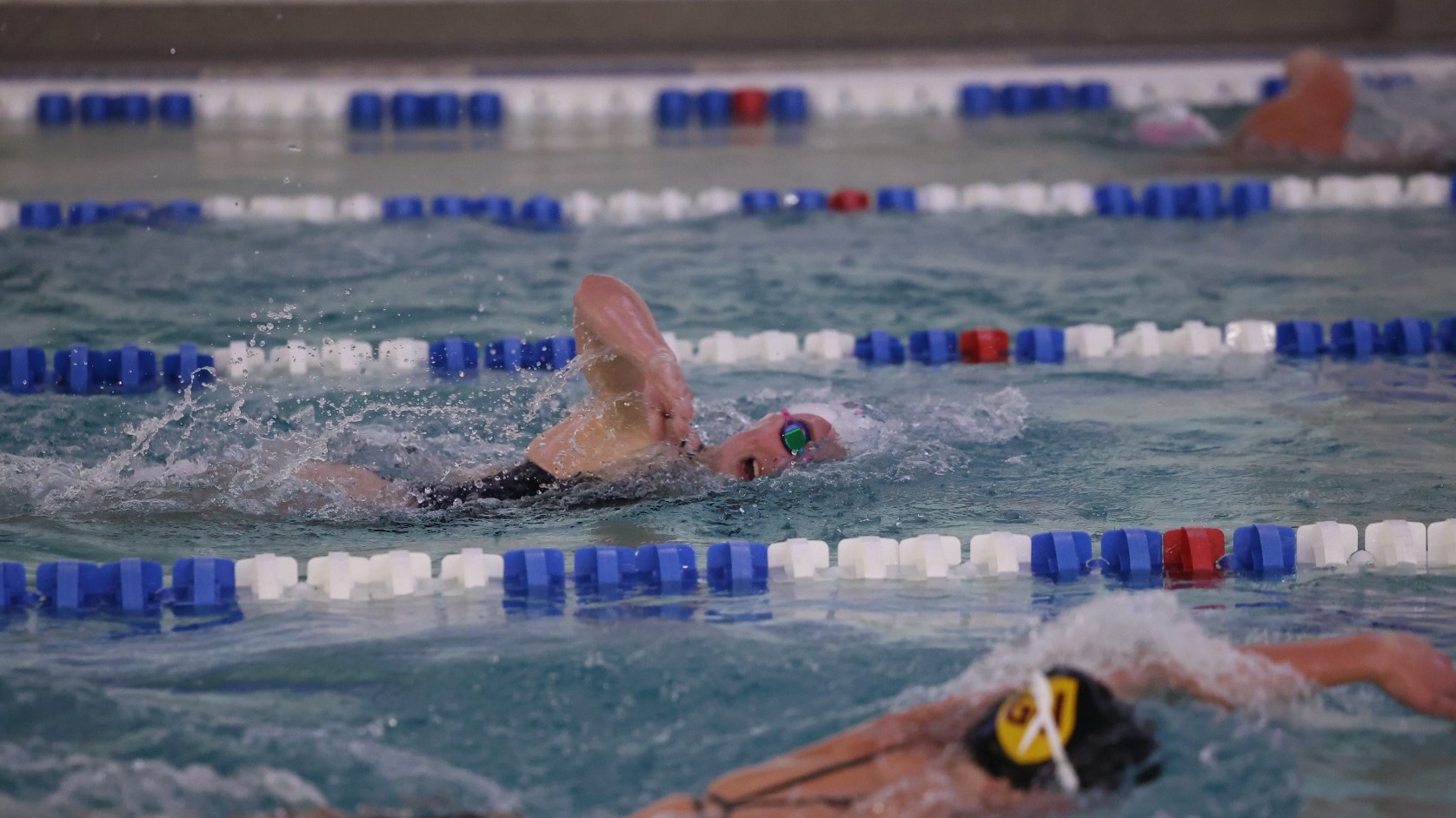 carly timme freestyle stroke vs gannon