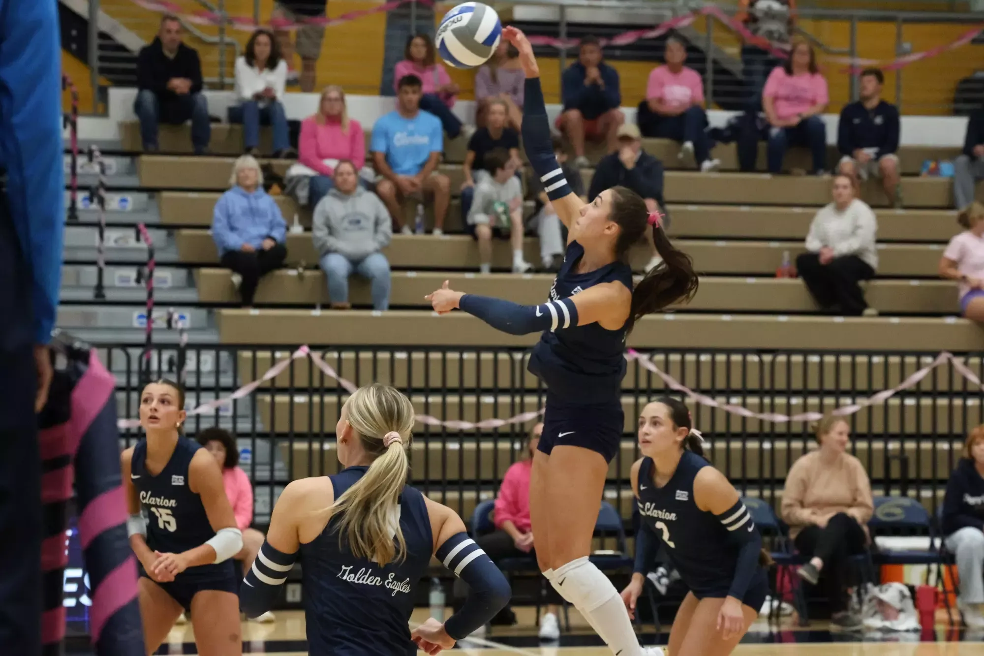 Taylor Haupt Attack vs. Gannon 2026-10-02