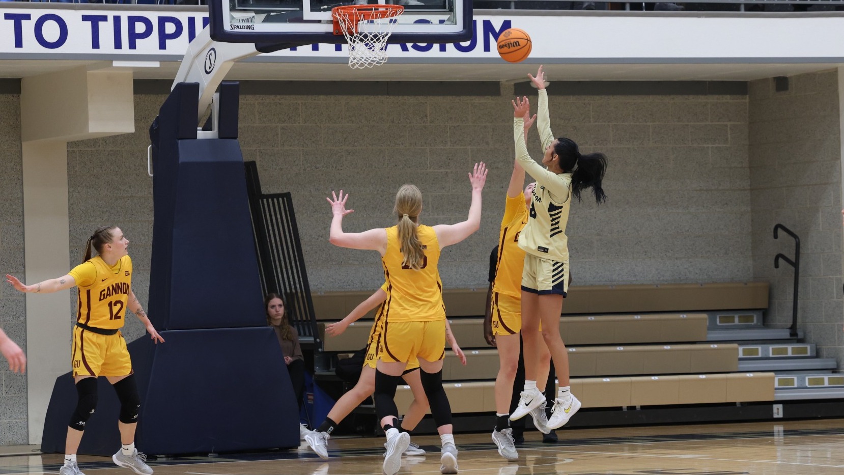 arianna seitz jumper