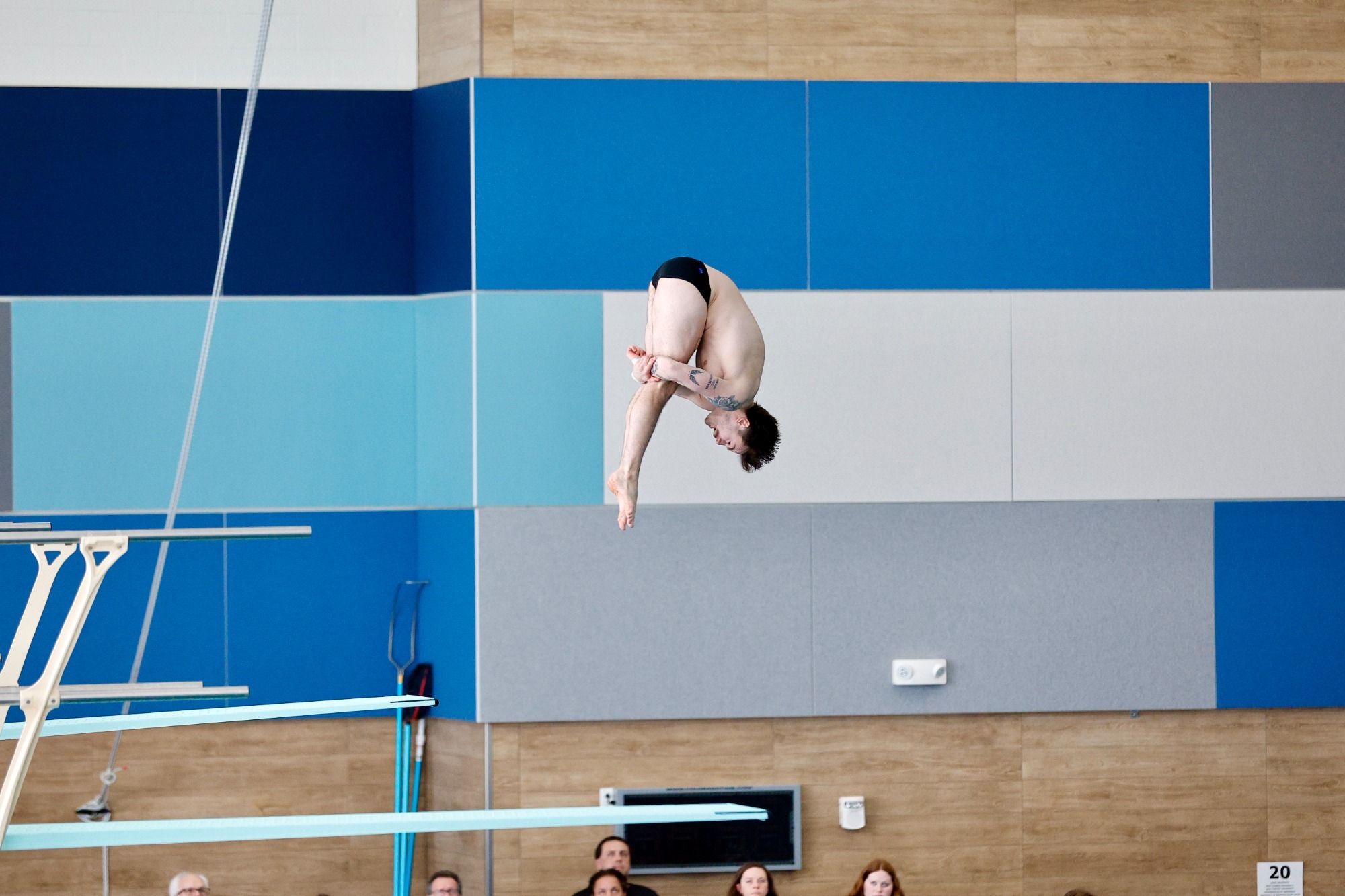 zach schering 3-meter ncaa 2026