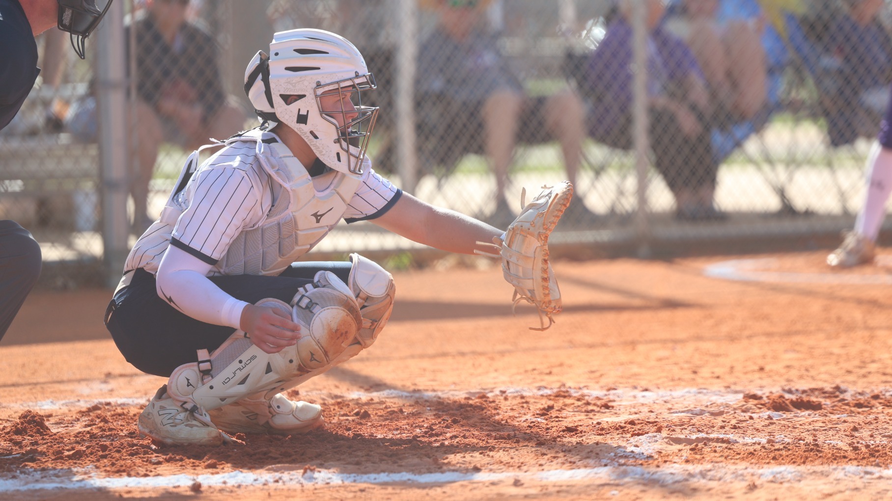 sami springman catching