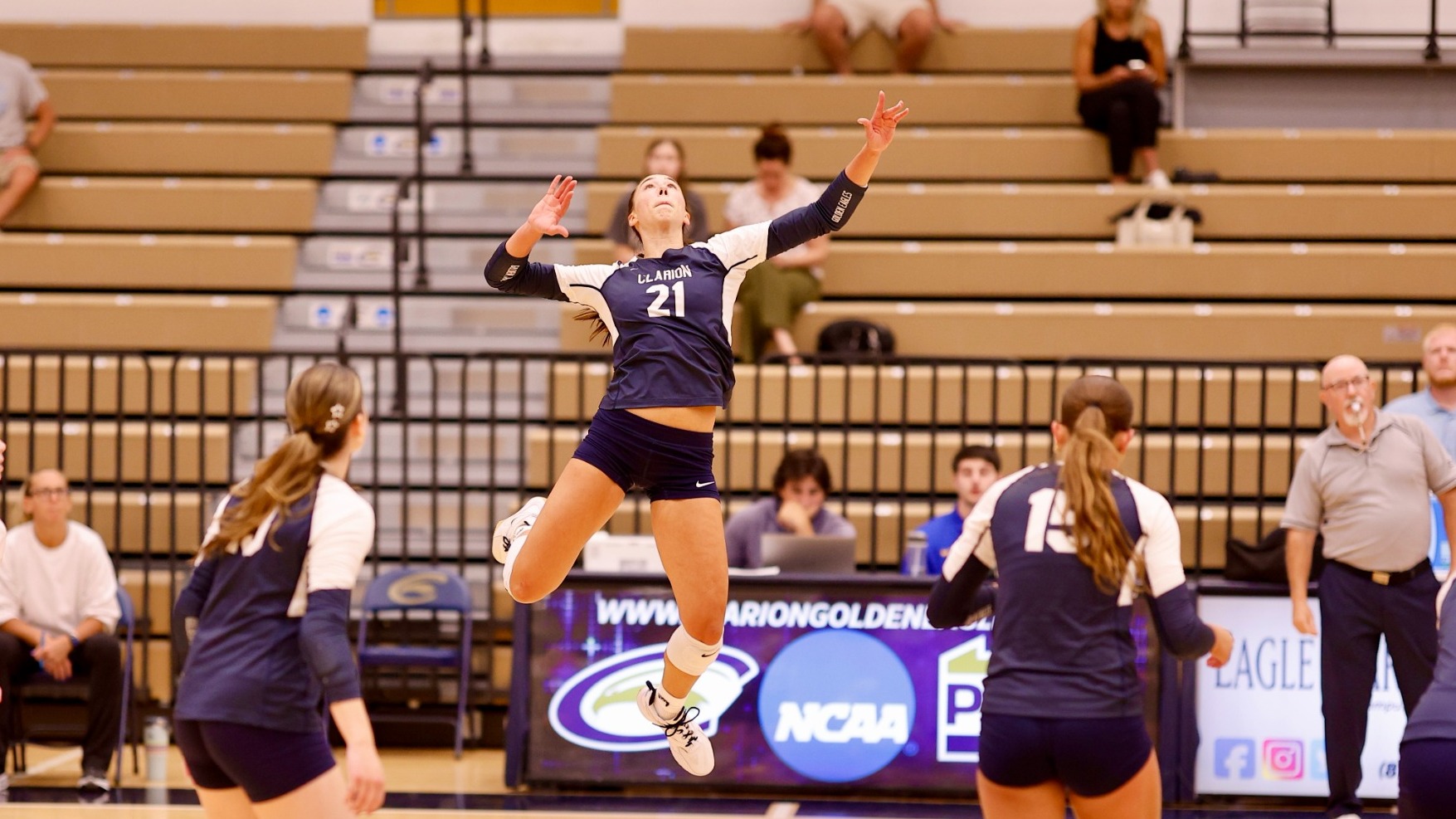 taylor haupt in mid air attacking vs franklin pierce
