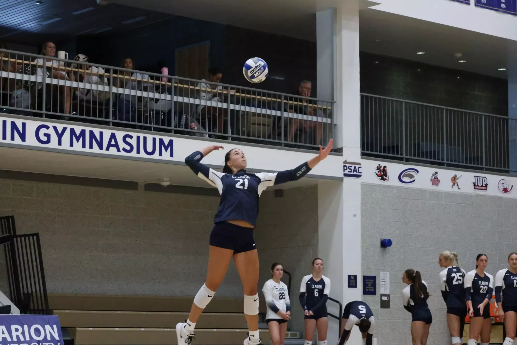 Taylor Haupt Serve vs. Franklin Pierce 2026-08-28