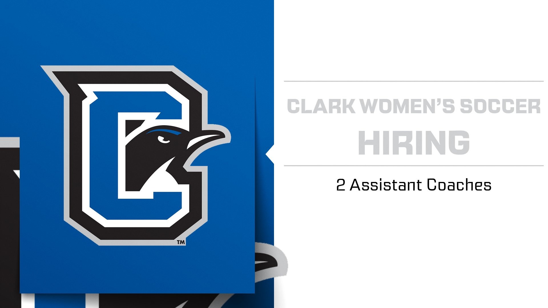 Women's Soccer Hiring Post