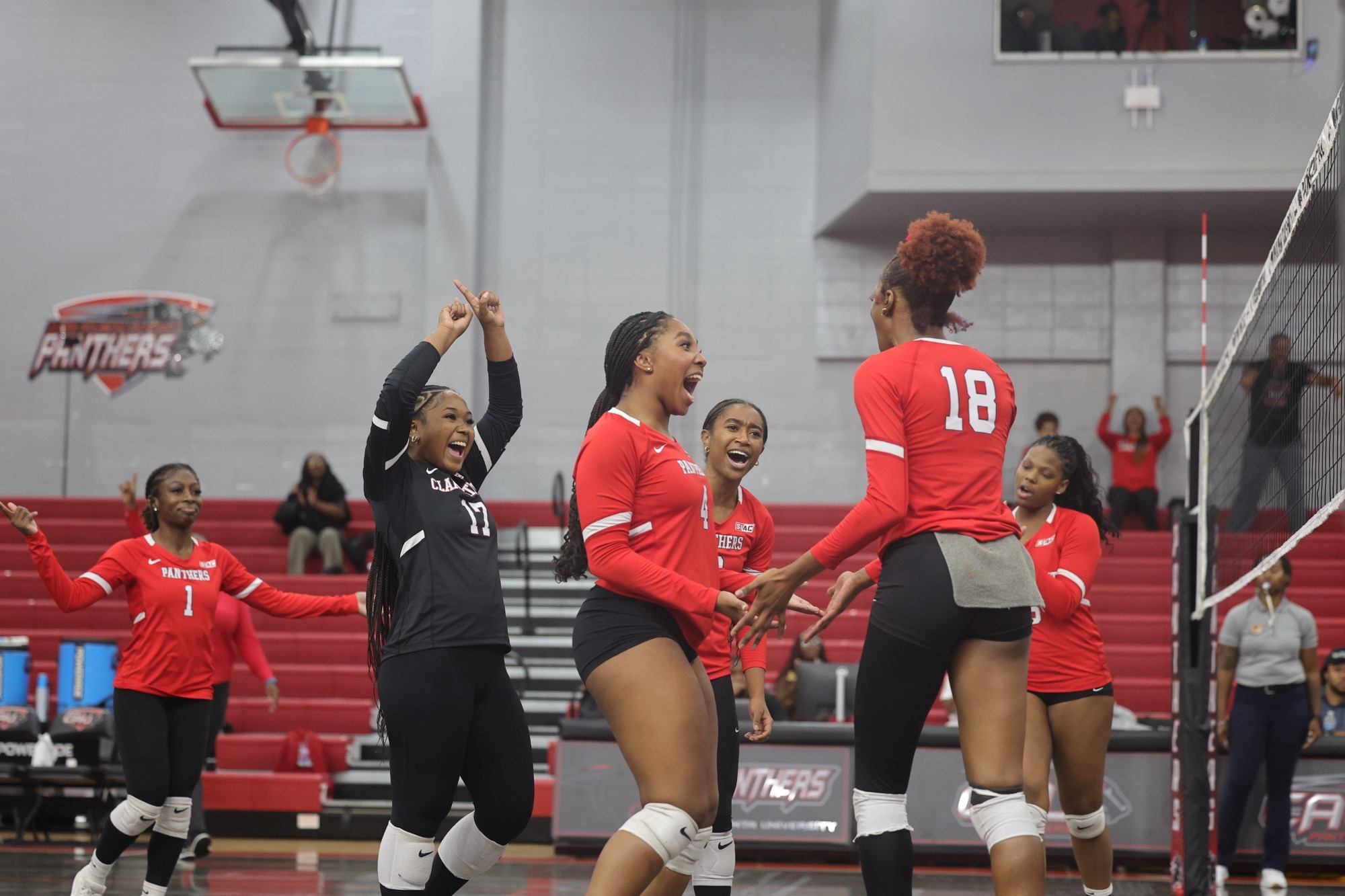 Volleyball 2026