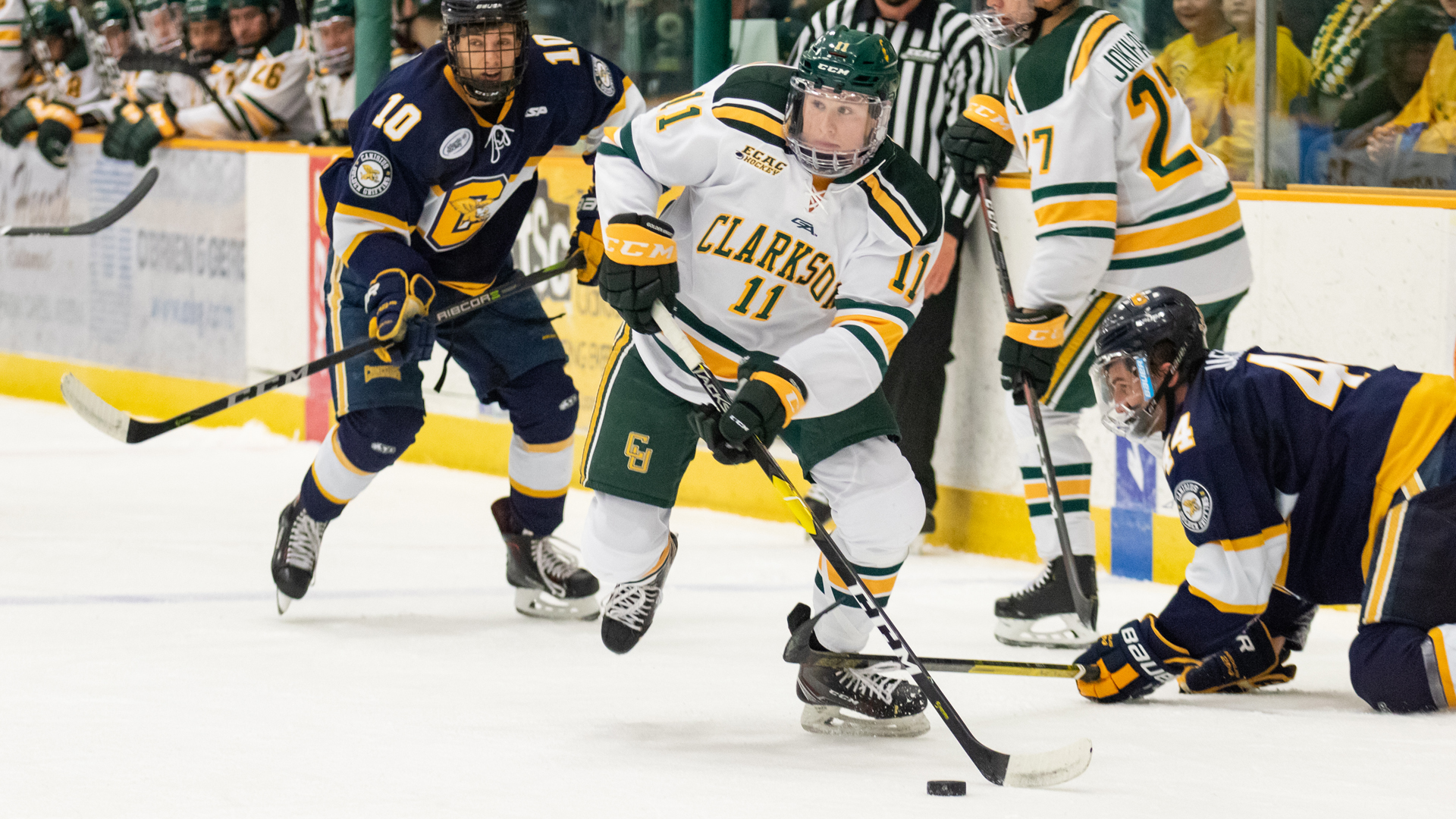 Adam Tisdale Men's Hockey Clarkson University Athletics