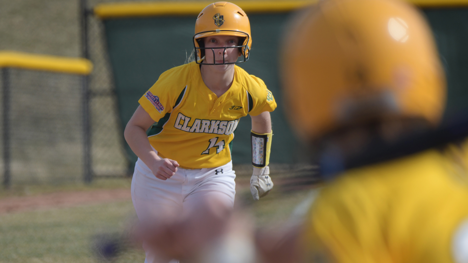 Amanda Riley - Softball - Clarkson University Athletics