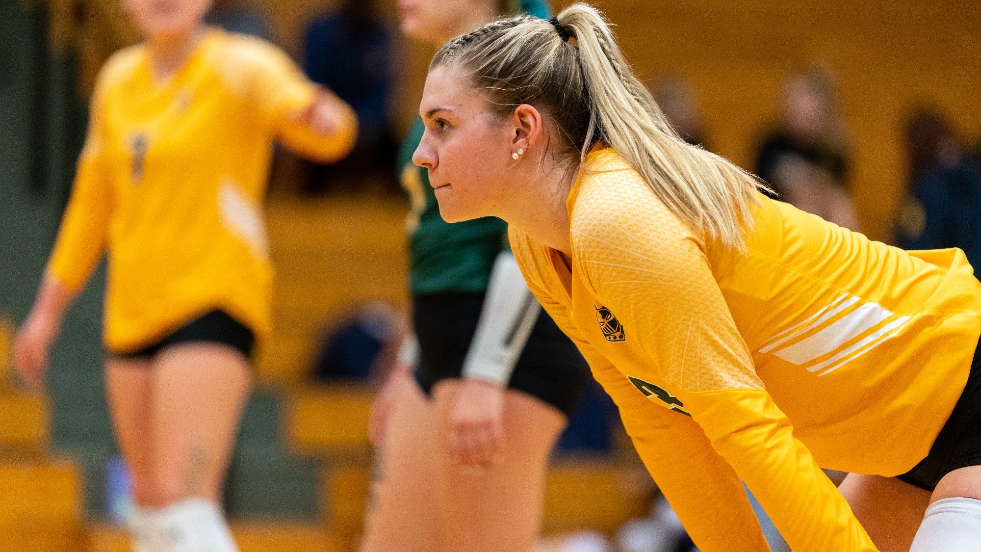 CU Volleyball Preview at Potsdam/vs. Union (10/1314) Clarkson