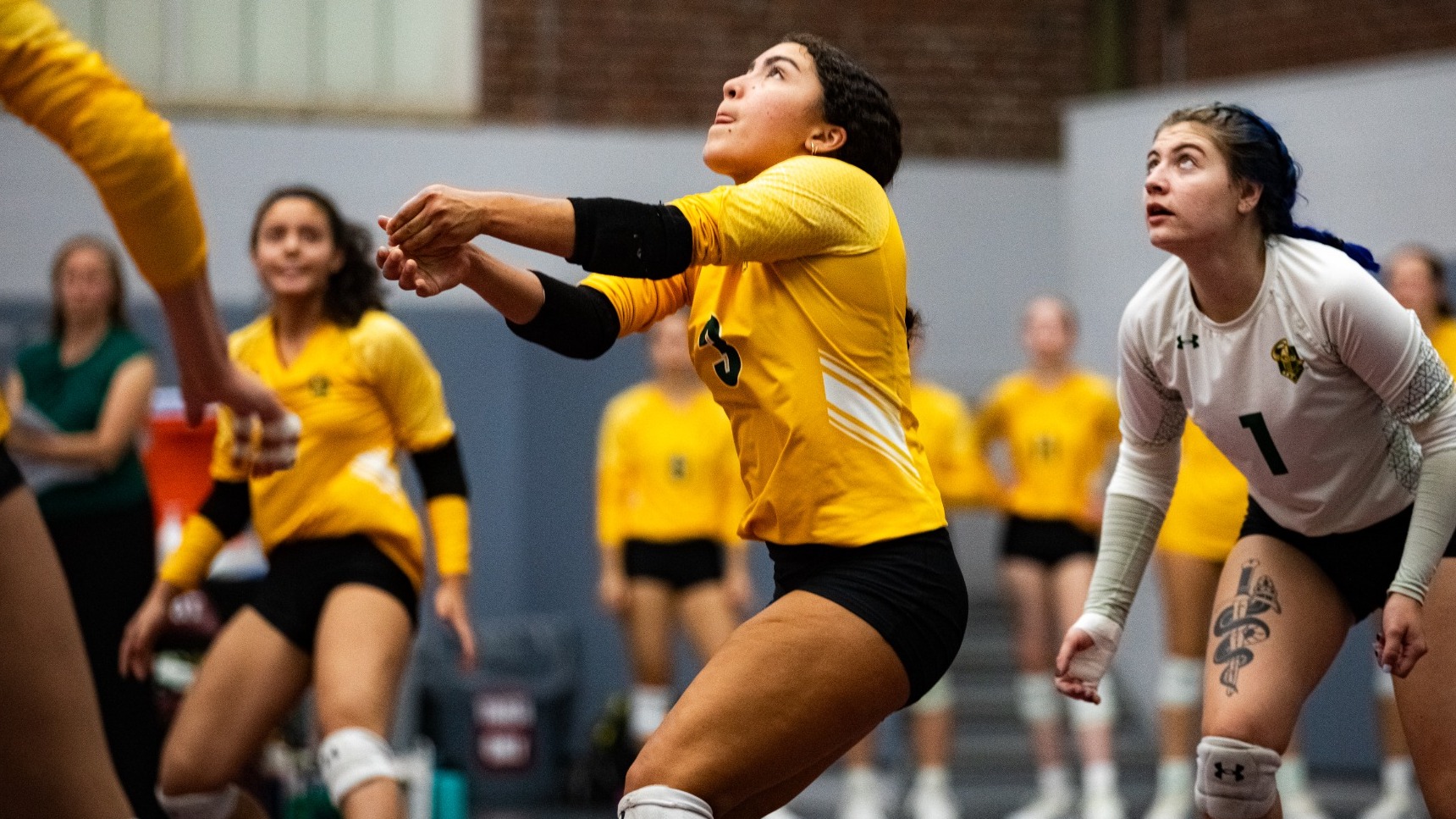 CU Volleyball Preview at St. Lawrence/vs. RIT/Rochester (10/1819
