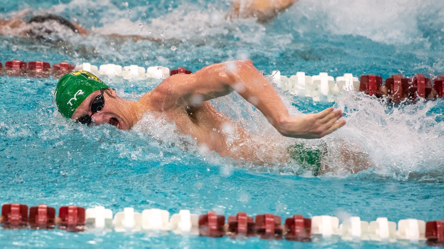 StuhlerGavin2025act1